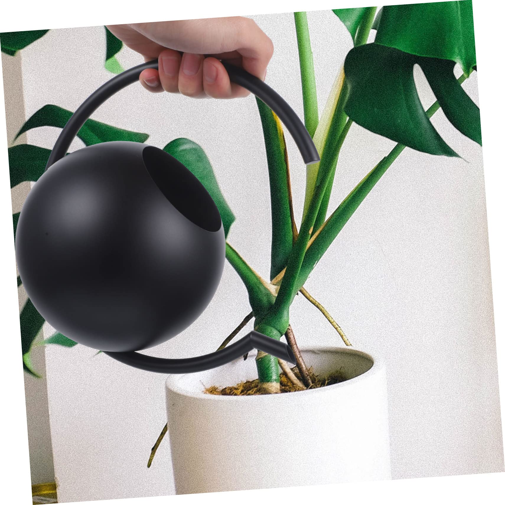 Arrosoir Simple 1l en Acier Inoxydable Noir pour Plantes et Maison