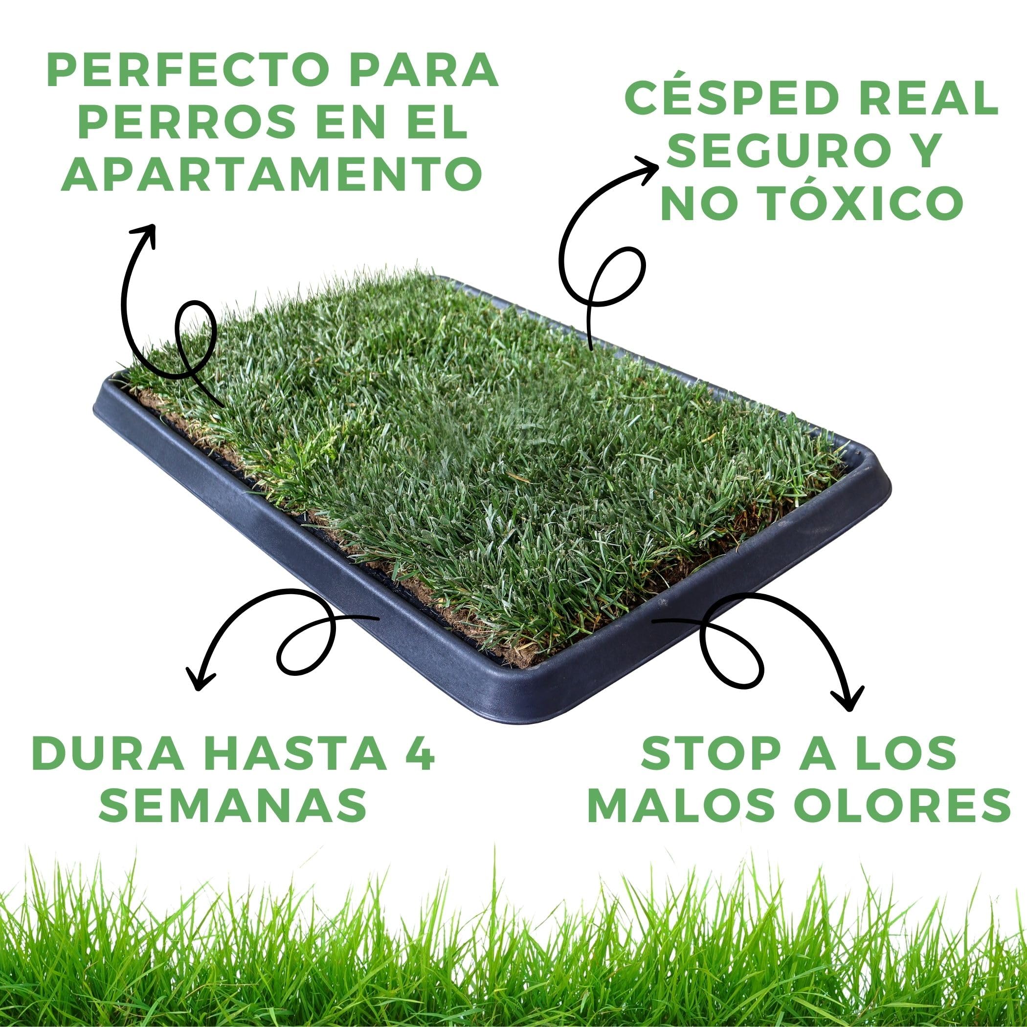 Petzolla – Cama para animales ecológica de césped real