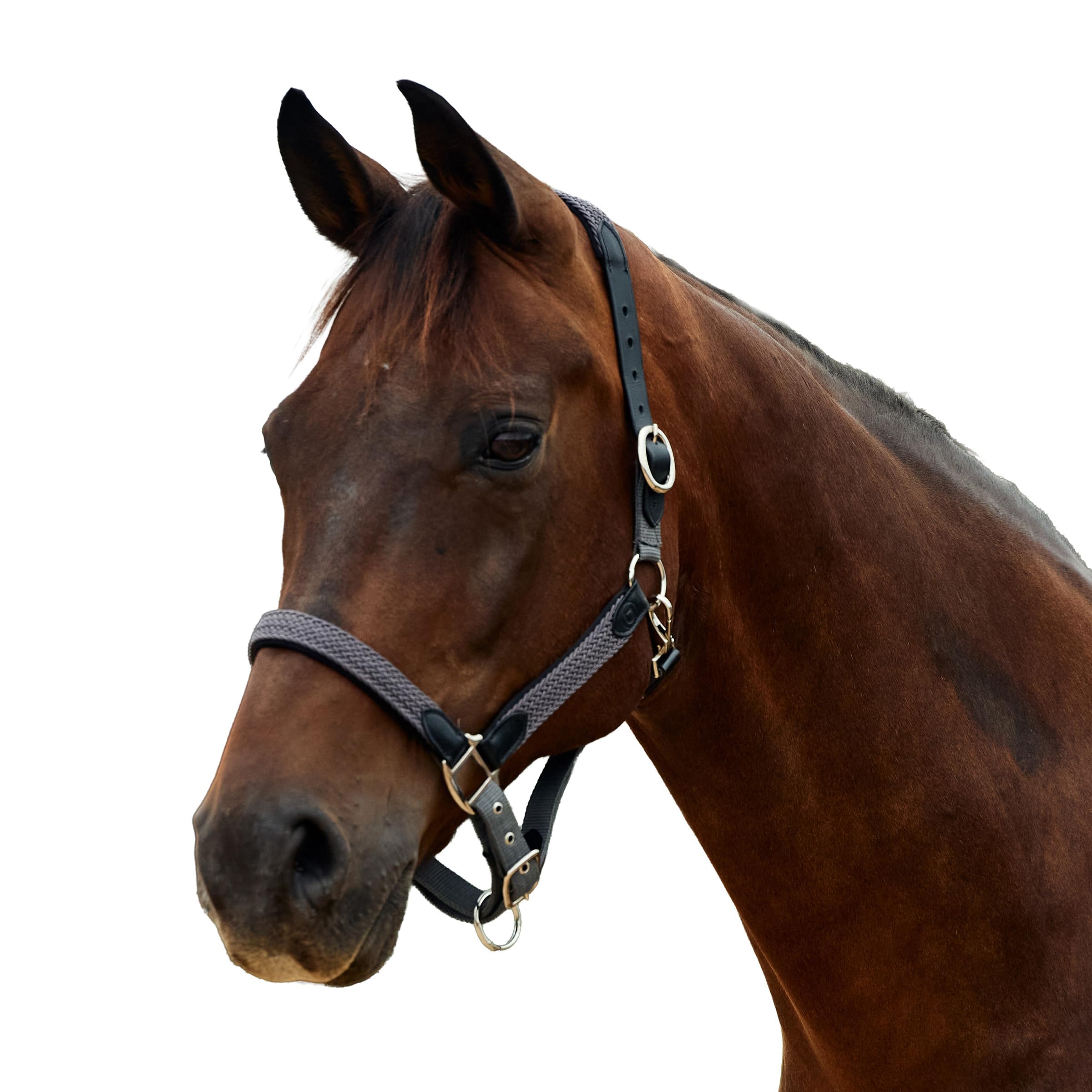 Dublin Braided Leather Headcollar, Charcoal, Full