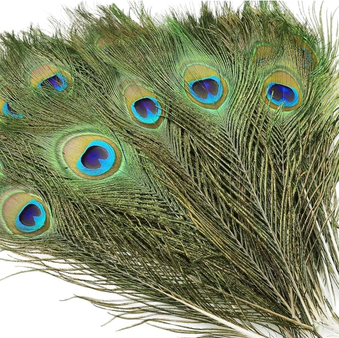 VRB DecTm Real Natural Peacock Peacock Feather Original Feathers 10-12 inch for DIY Craft Floral Arrangements,Wedding,Home and Party Decorations Feathers (Pack of 100 Pcs)