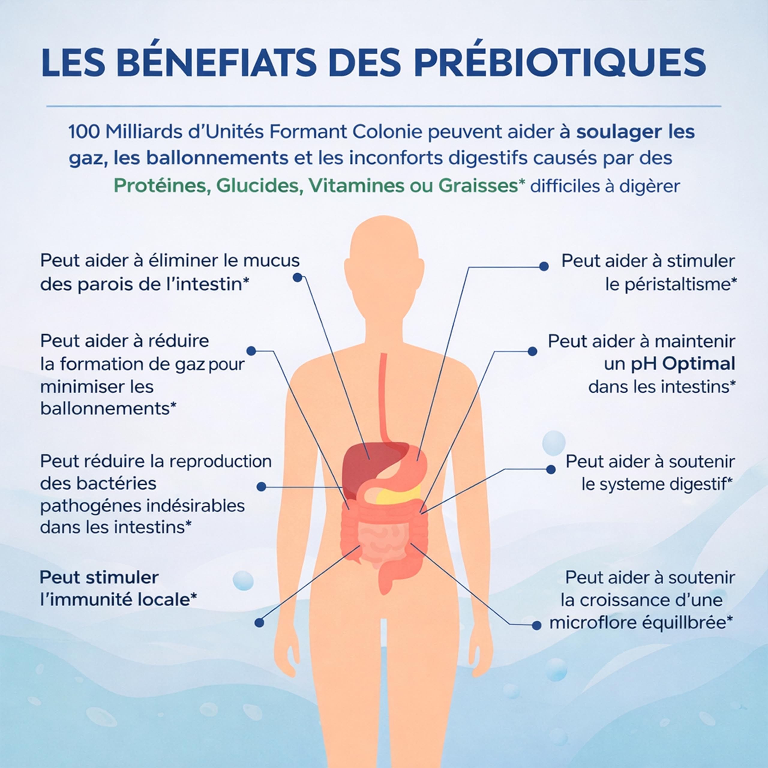 Harmony – Probiotiques & Prébiotiques – 260 Milliards UFC & 10 Souches – Soutien immunitaire – Inuline FOS GOS + Enzymes Digestives + Vitamines C & D3 – 90 Gélules Végétales