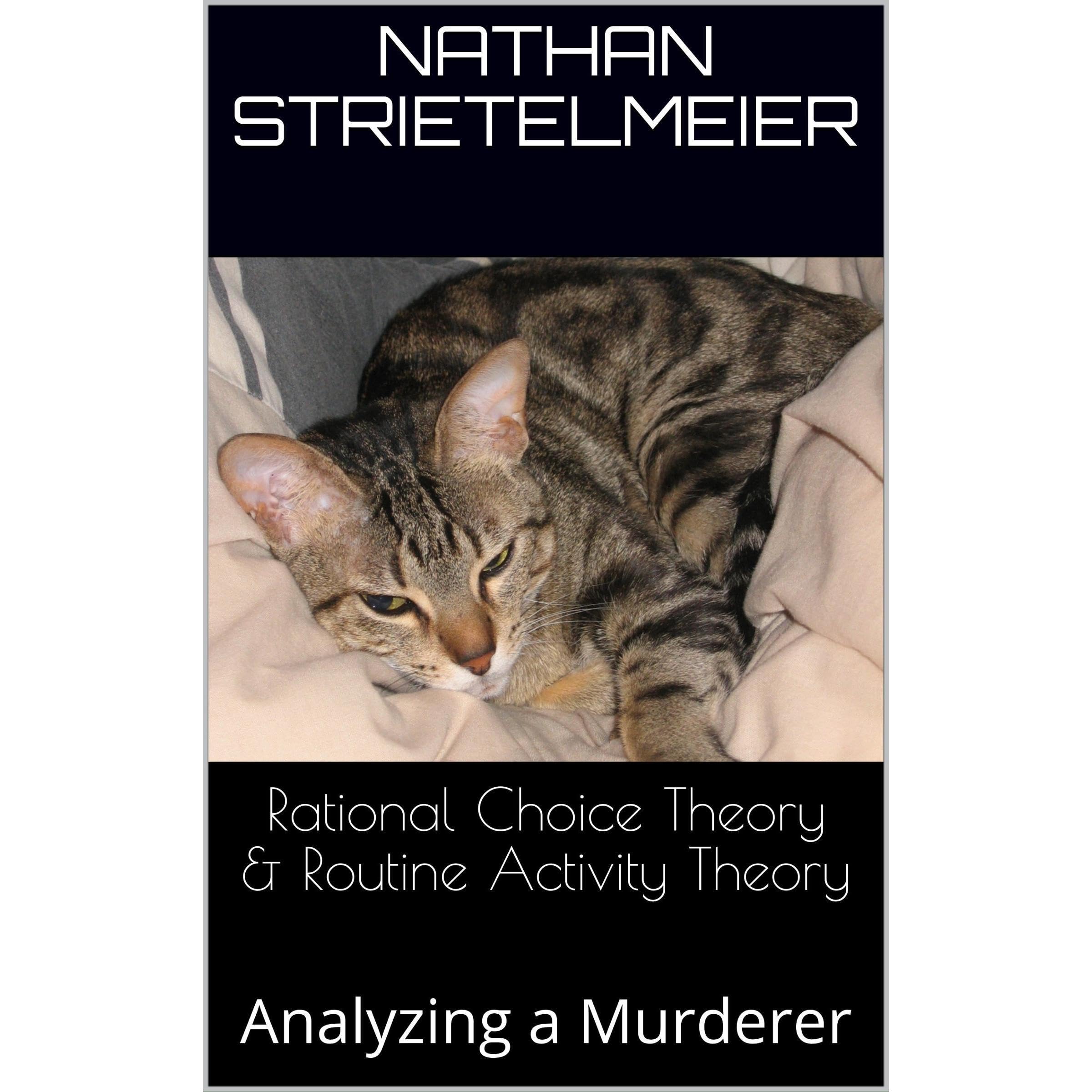 Rational Choice Theory & Routine Activity Theory