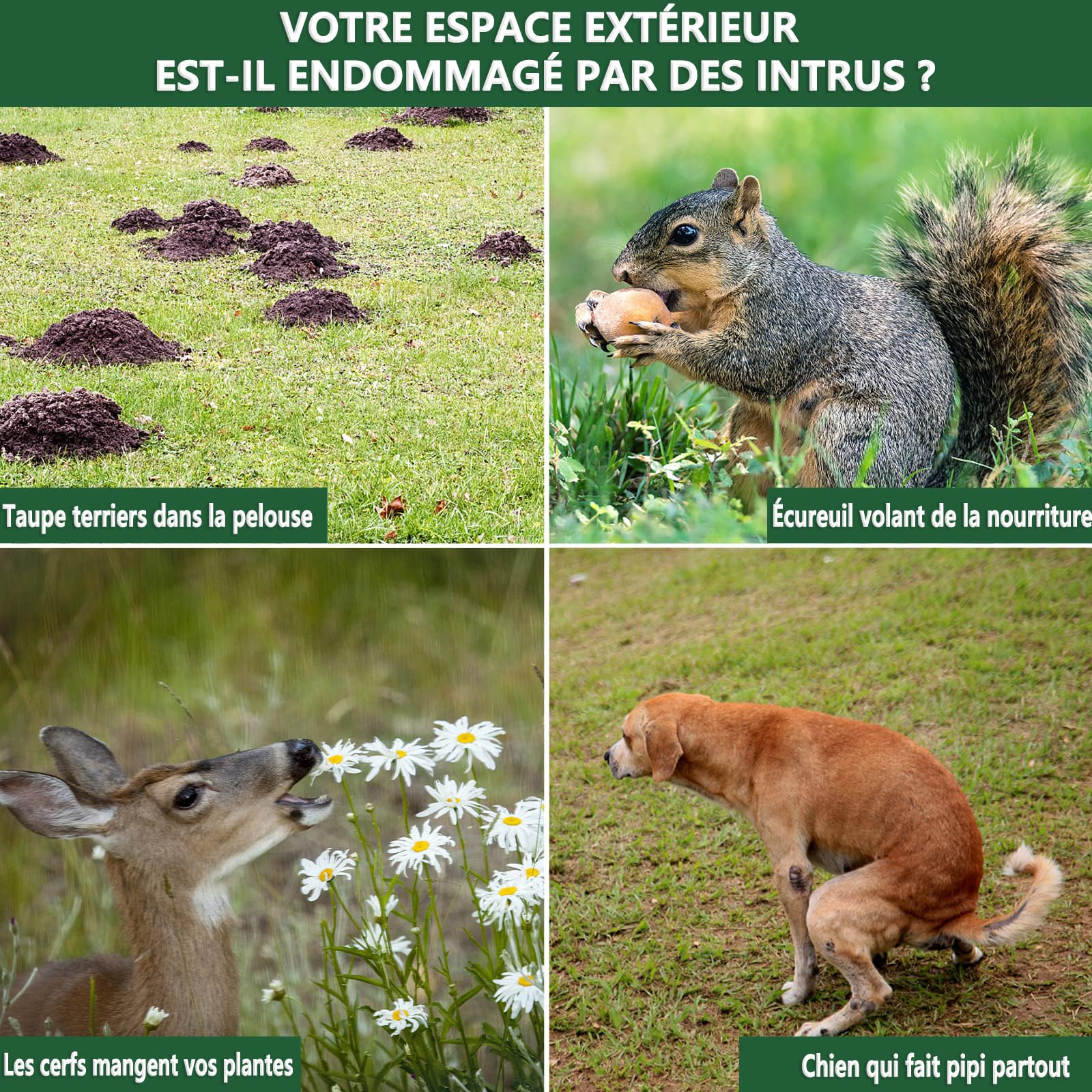 Répulsif Animaux Solaire, Repulsif Chat Exterieur, Ultrason Oiseau, Répulsif Souris, Ultrason Charge Solaire, Chargement USB, Jardin pour Cours, Fermes, Champs (Vert)