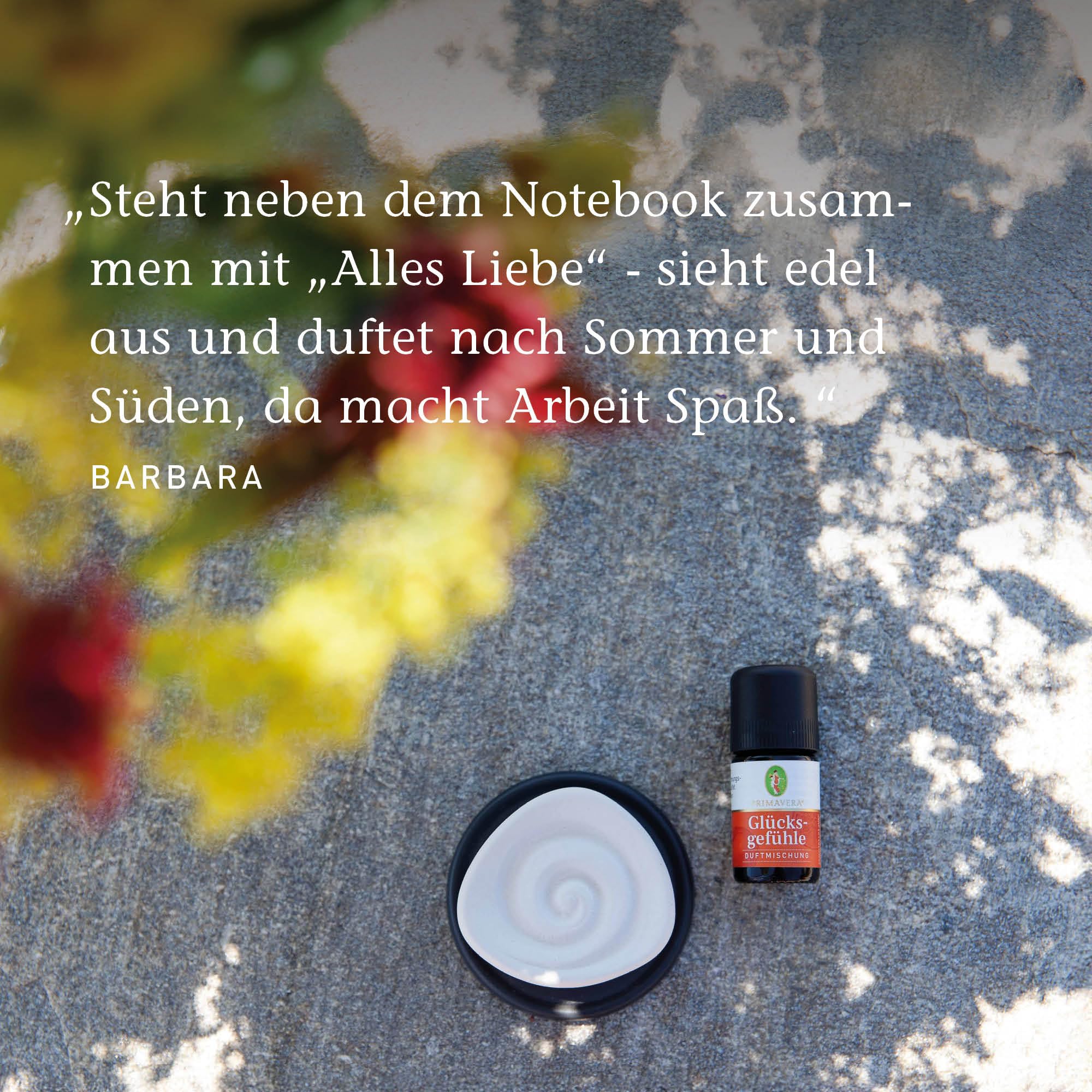 Primavera Aroma Duftstein Energy 6 STK – Duftträger für ätherische Öle und Duftmischungen – Raumduft – Aromatherapie