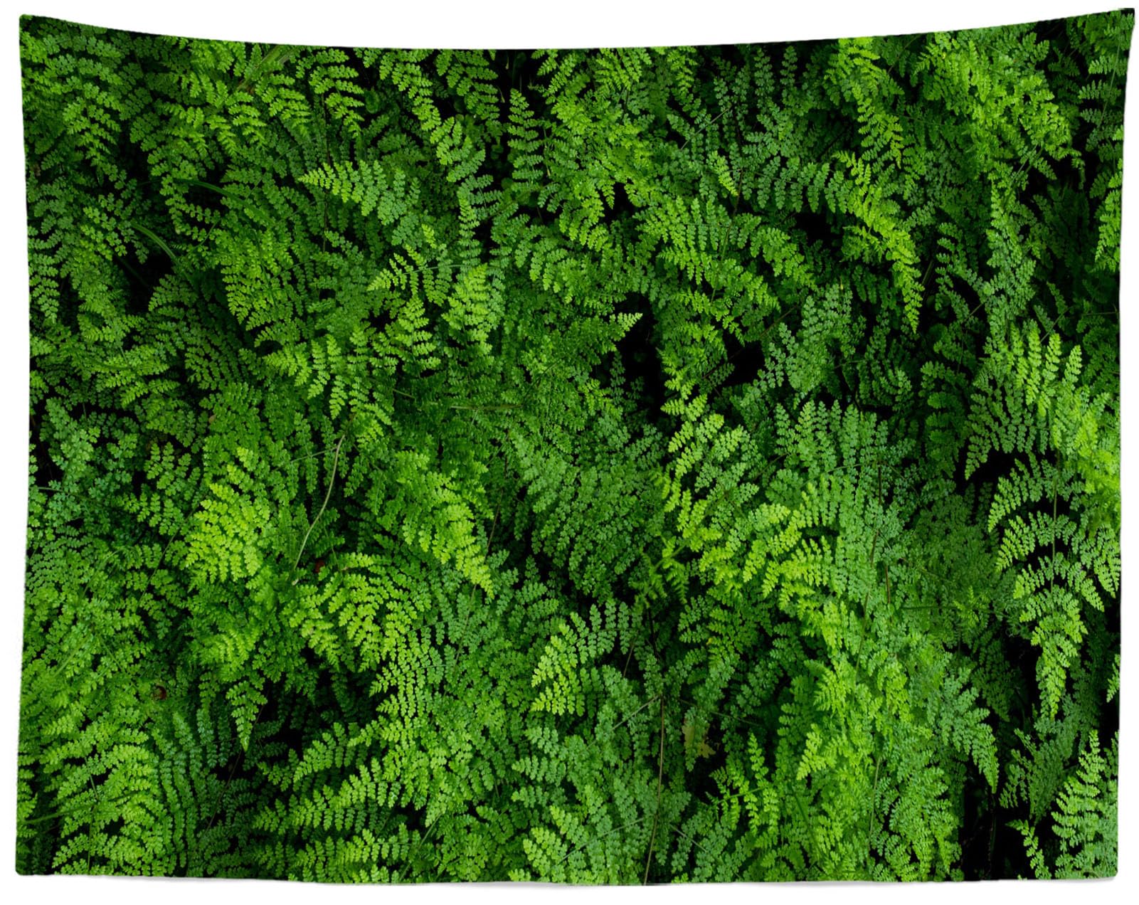 15x10ft Sfondo fotografico con foglie di felci verdi Sfondo fotografico con foresta verde Sfondo con foto di vegetazione naturale Studio fotografico da parete con foglie verdi