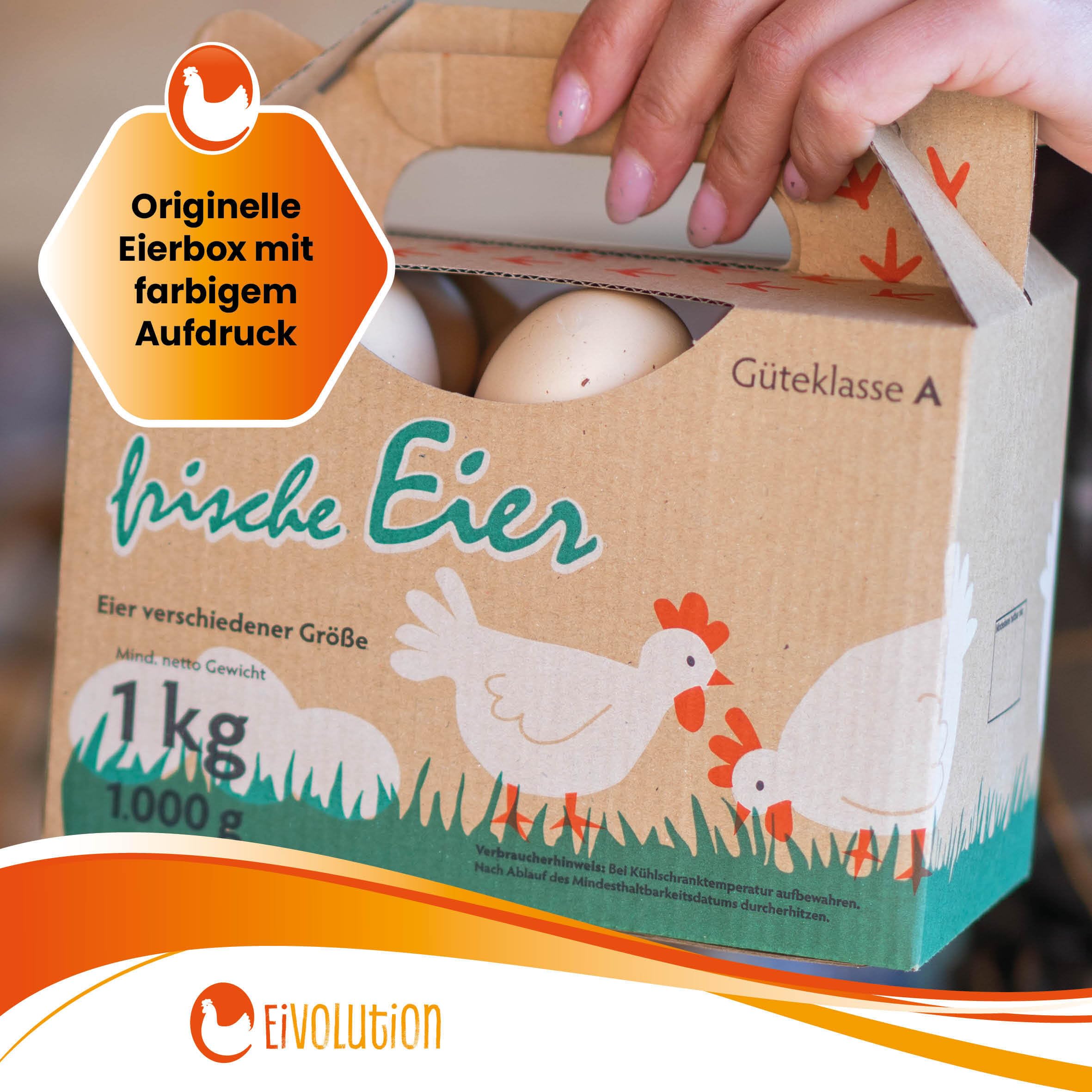 EierboxPro Eierkarton für 25 Eier – Stabile Aufbewahrung aus Wellpappe, umweltfreundlich und wiederverwendbar – Passt für S, M & L Eier – Perfekt für Küche, Bauernhof und Markt