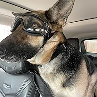 Vista 6 de ENJOYING Gafas de sol transparentes para perros medianas, antirayos UV, para perros medianos, a prueba de niebla, resistentes al viento, a prueba