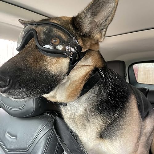 Miniatura 6 de ENJOYING Gafas de sol transparentes para perros medianas, antirayos UV, para perros medianos, a prueba de niebla, resistentes al viento, a prueba de