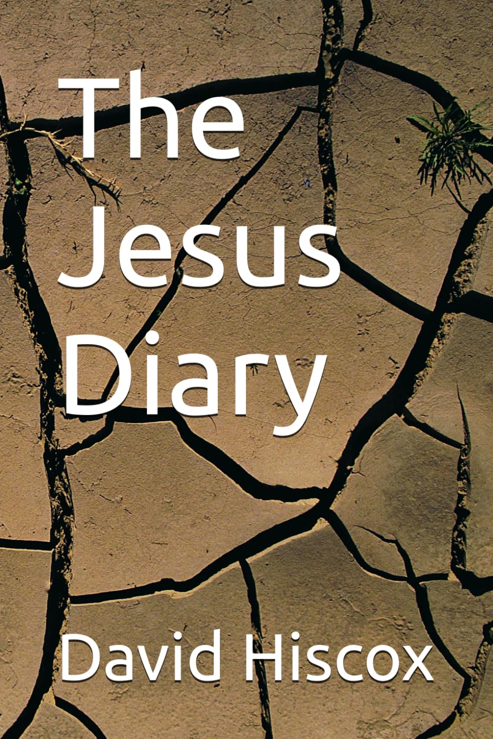The Jesus Diary