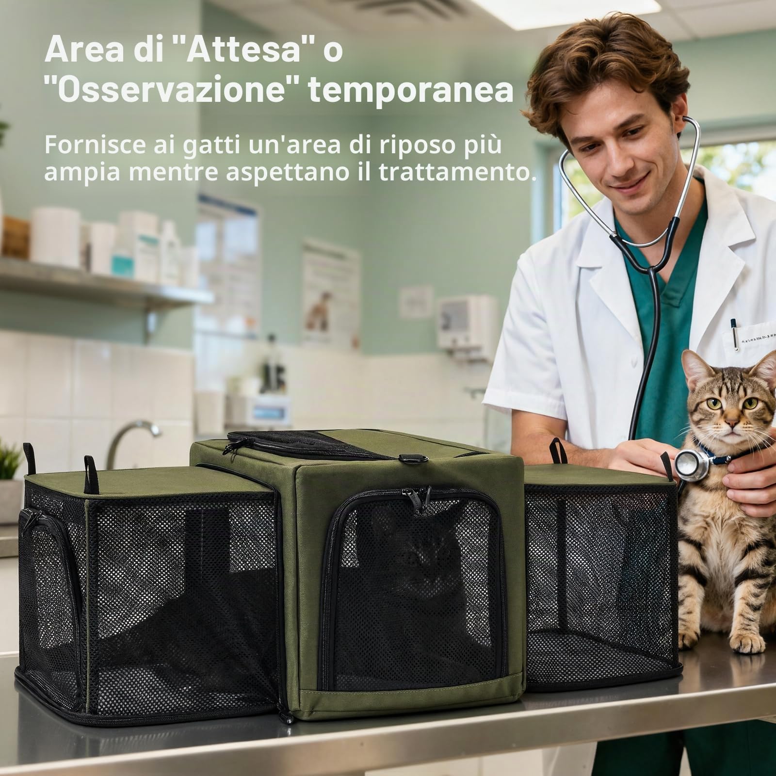 Pecute Trasportino per gatti espandibile, con struttura stabile, traspirante, ampio spazio, trasportino portatile adatto per viaggi comodi, doppia borsa espandibile, verde