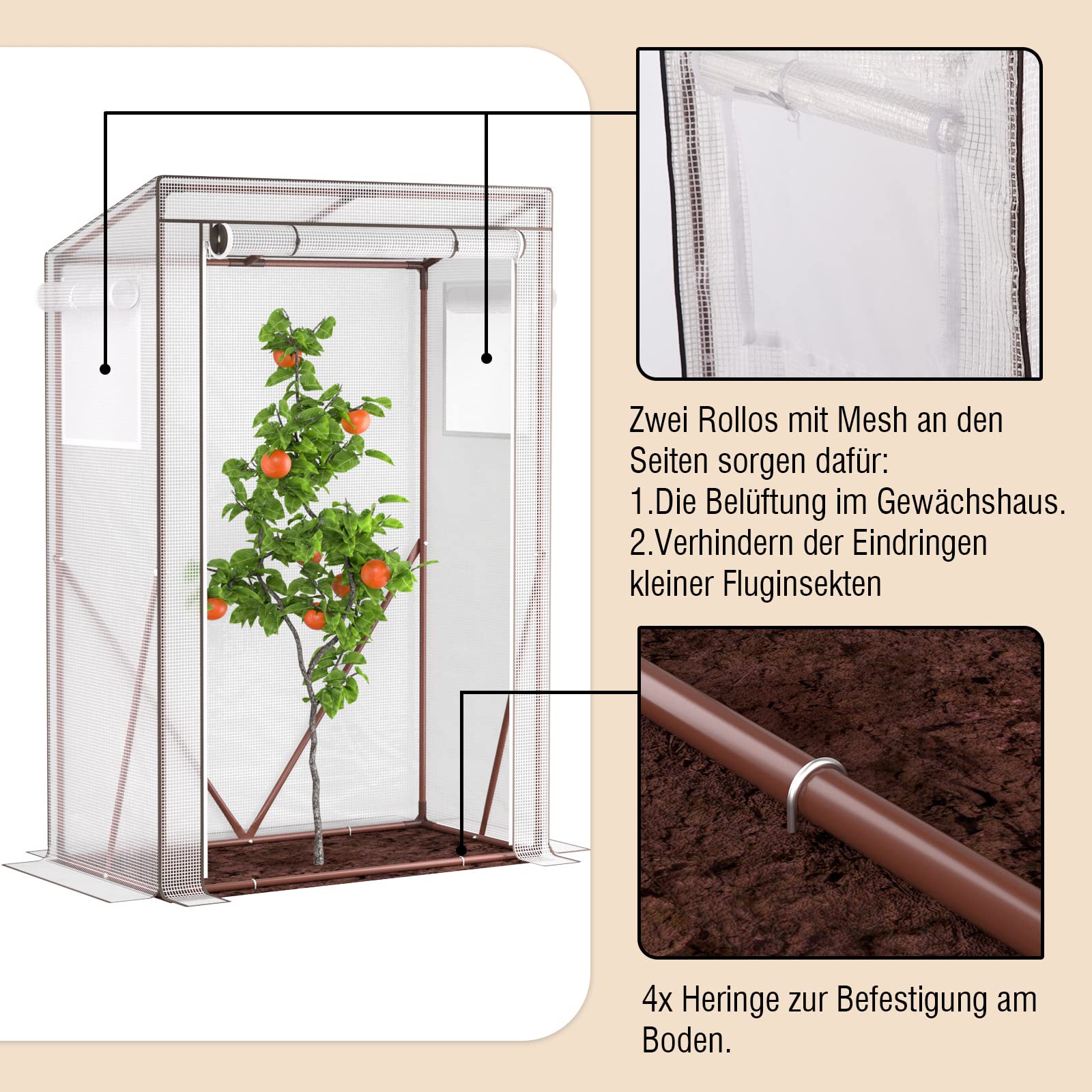 Piante | PPT, image size:1600x1600