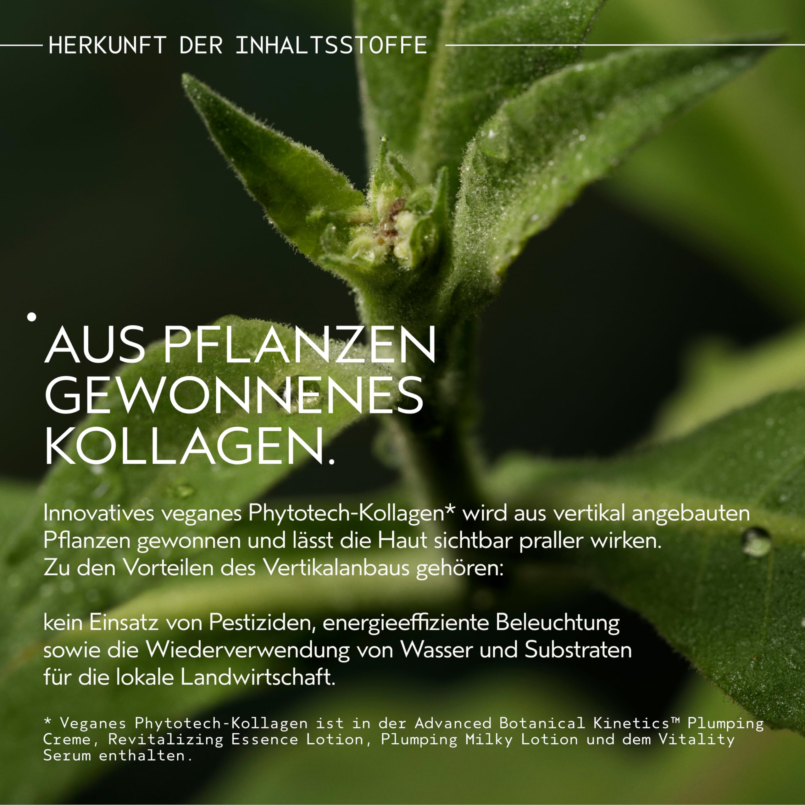 Aveda Botanical Kinetics™ Micro-Purifying Cleansing Mousse | Creme-zu-Schaum Gesichtsreiniger | Entfernt Make-up, Öl & Unreinheiten | 150 ml