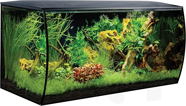 Aquarium 100L Fluval 14995 Verre Flex avec LED et Filtration