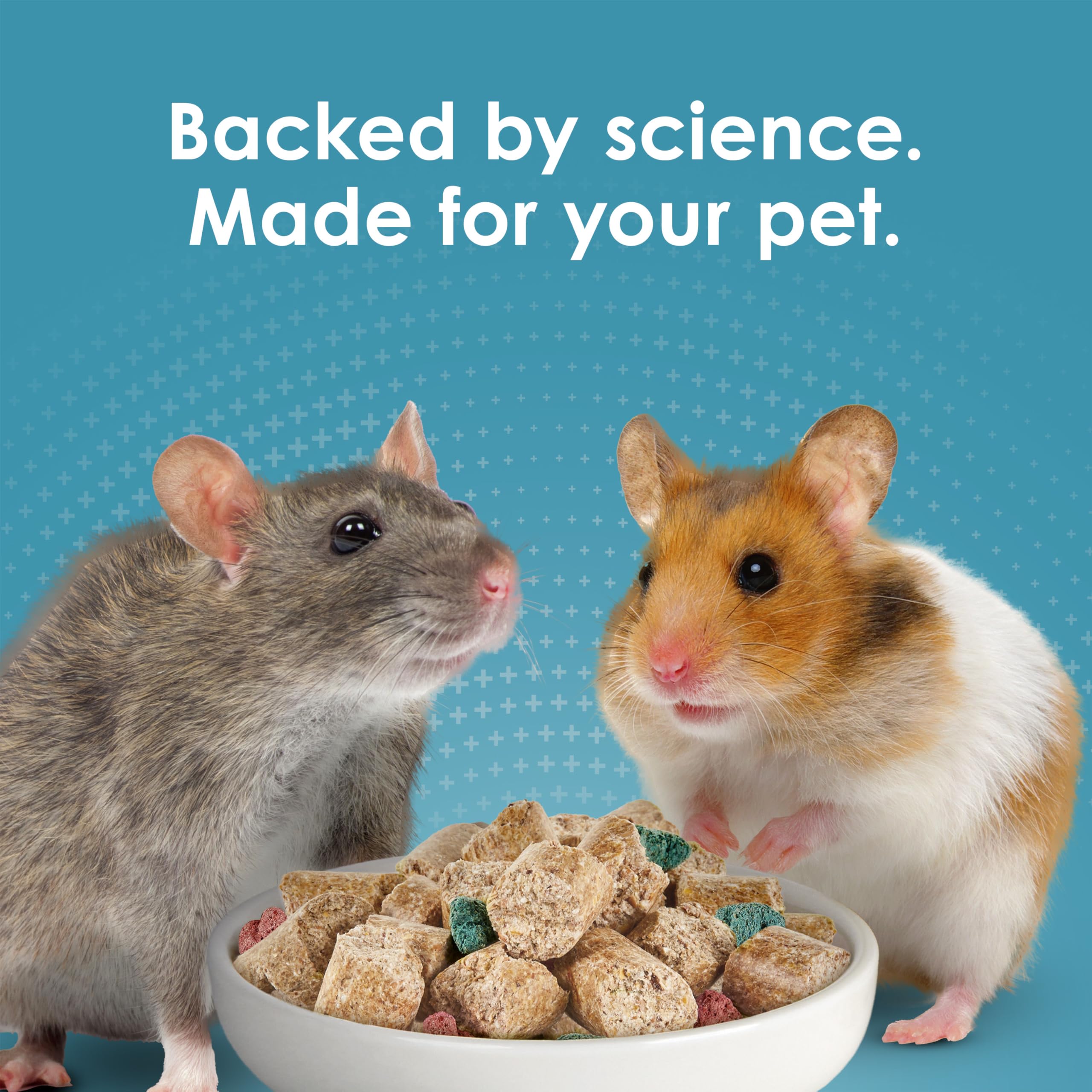 Kaytee Forti Diet Pro Health Small Animal Food For Mouse And Pet Rats, 3-Pound