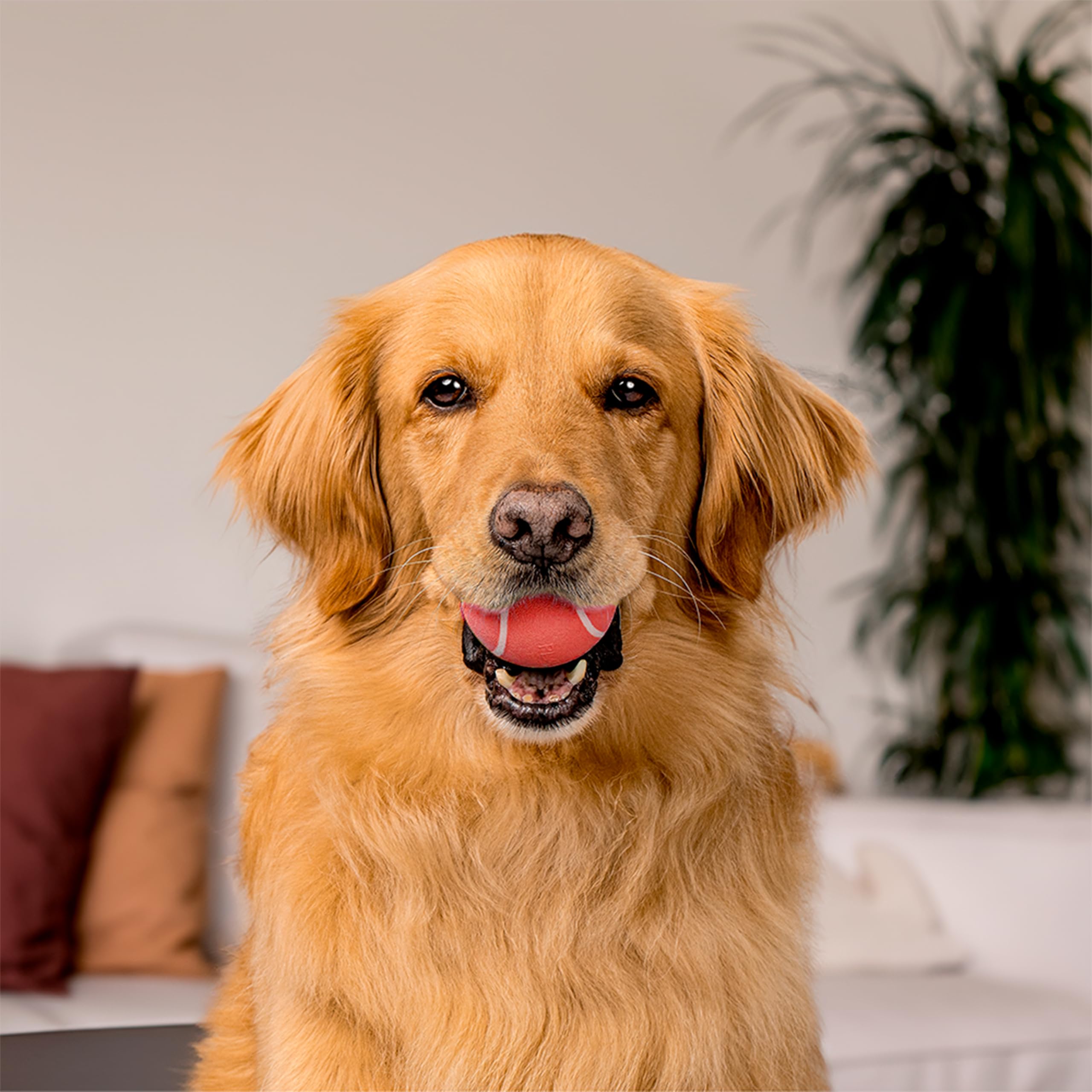 4 Pz 2 Stili Fiocco Decorazioni Per Scarpe In Poliestere Con Strass All