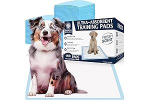 Ultra Absorbent, Leak-Proof Training Pads for Dogs