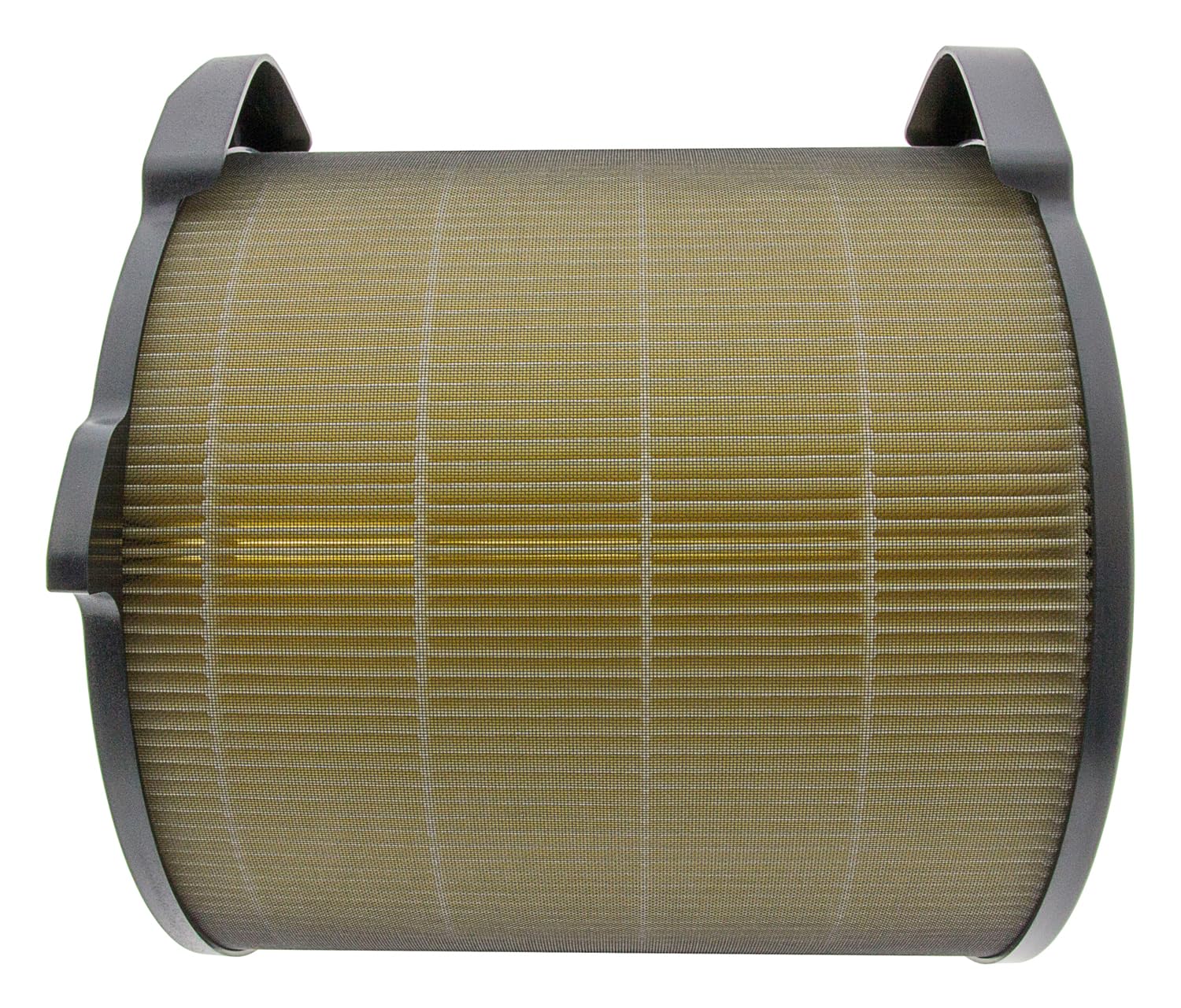 Filtro de purificador de aire | AFDBTH4 AEG, Negro