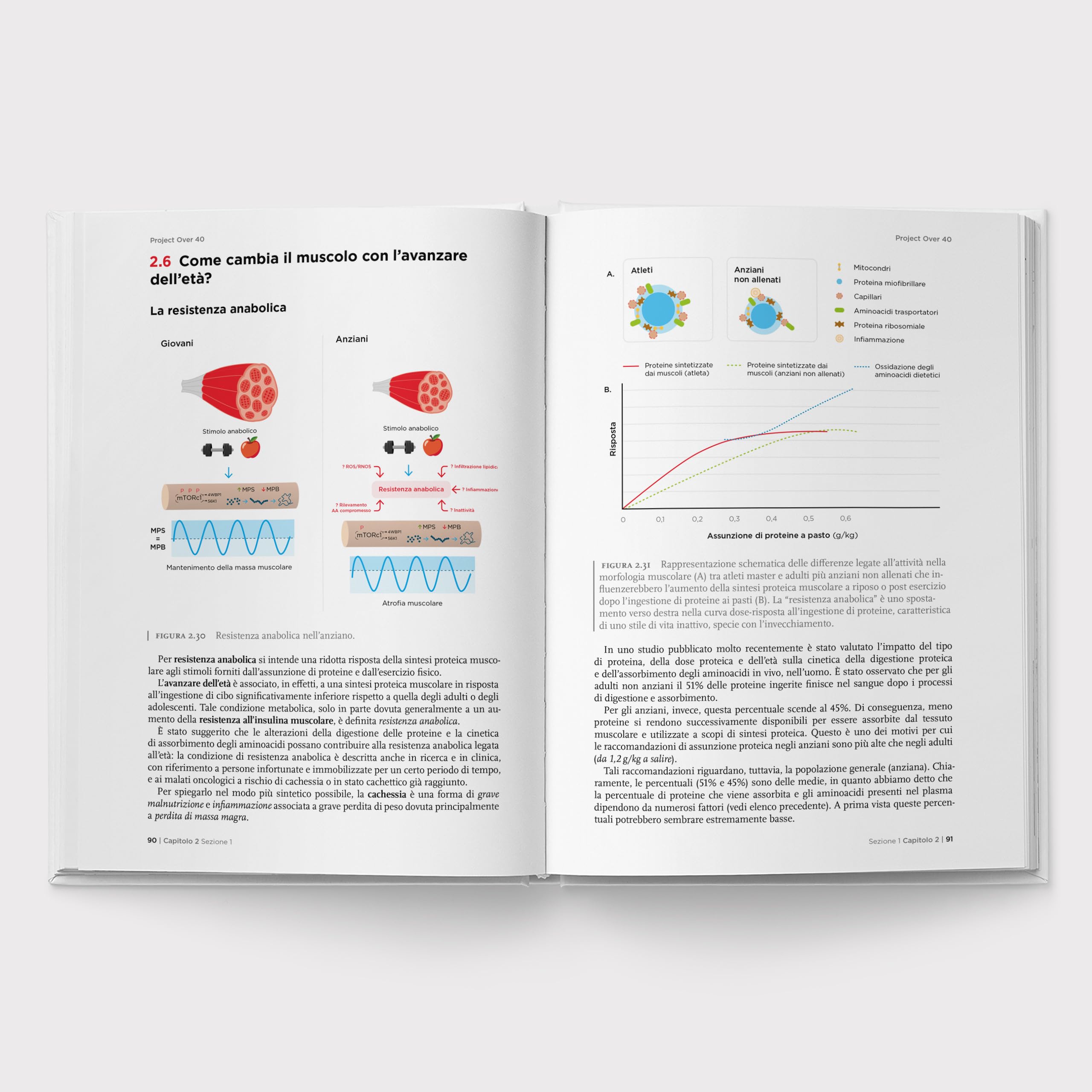 Project Over 40 - Allenamento e Alimentazione