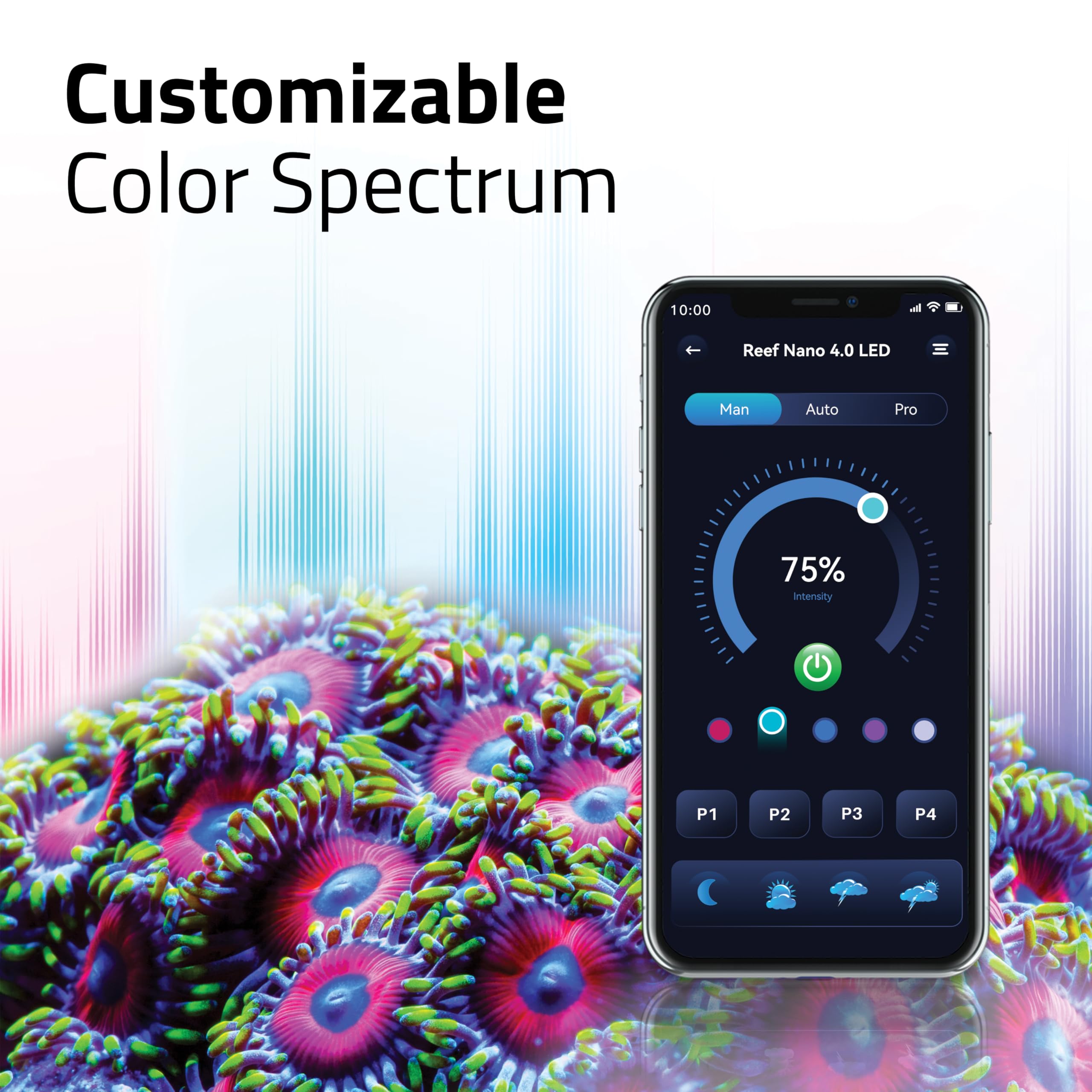 Fluval Reef 4.0 LED Nano, 25W : Amazon.ca: Pet Supplies