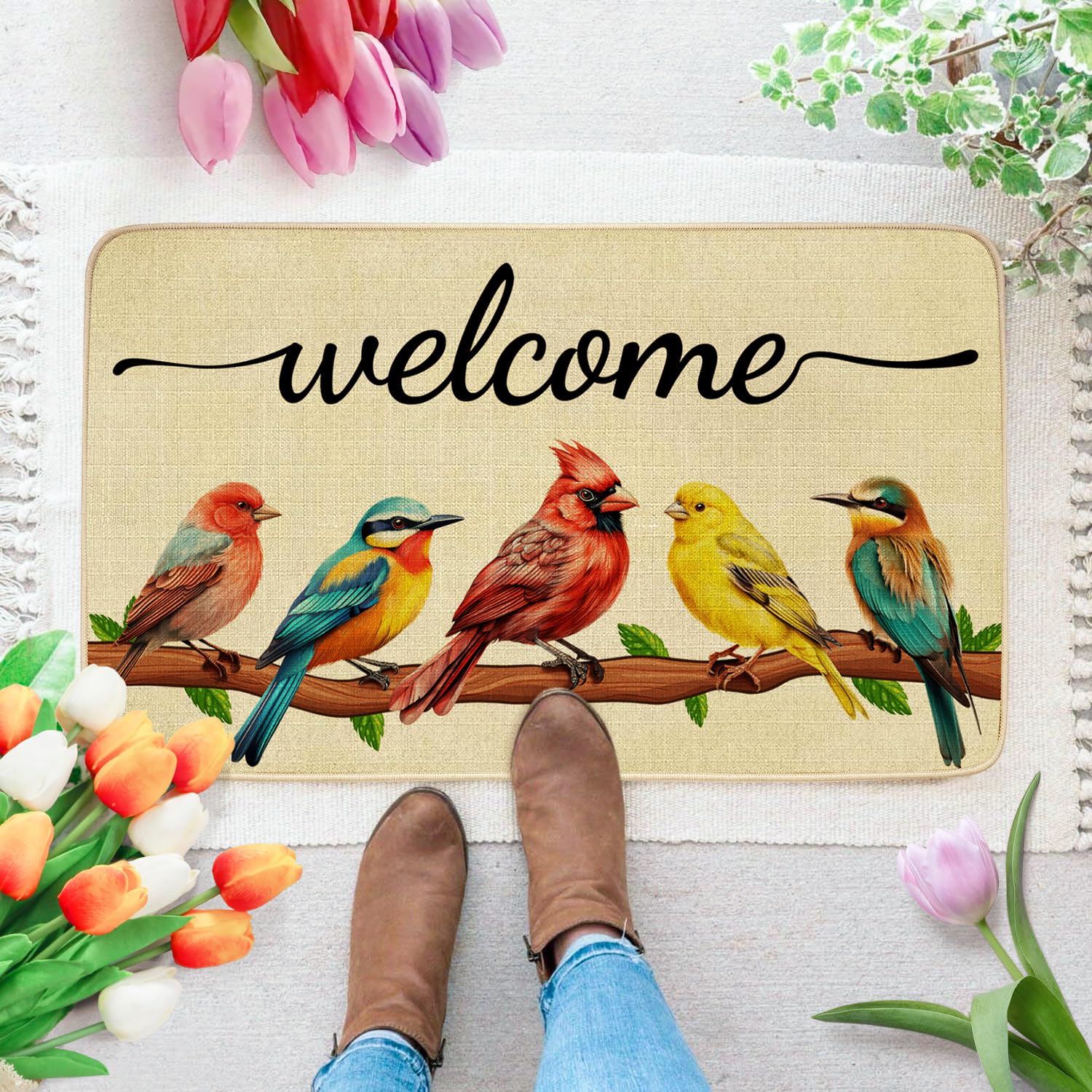 JWXCBIM Spring Door Mat Bird Welcome Decor Doormat, Summer Decorative Indoor Outdoor Non-Slip Mat for Home Entrance, Outside Entry, Floor, Patio 17x30 Inches