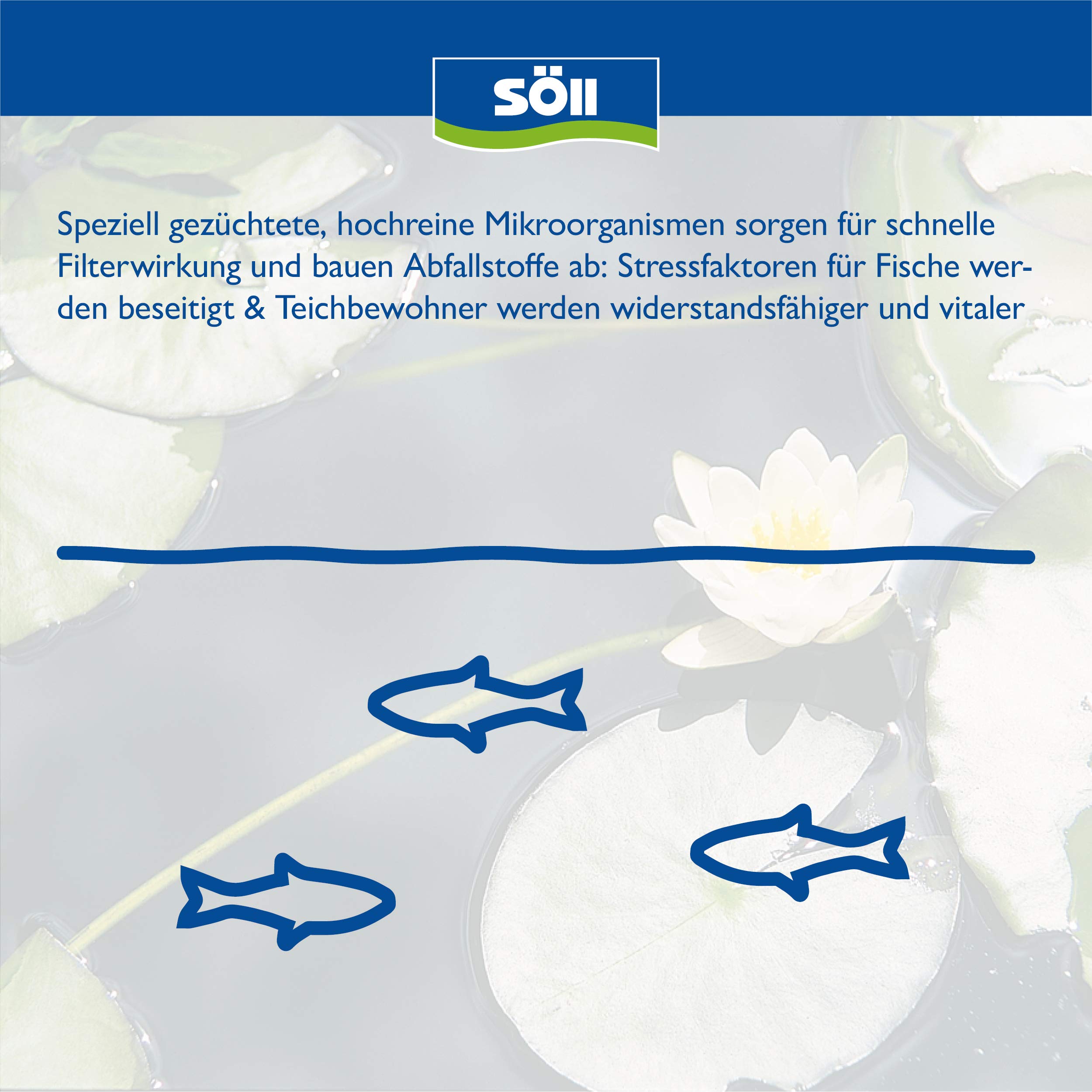 Söll Bactéries filtrantes – Activation de la biologie dans Le Filtre de Bassin 250 g
