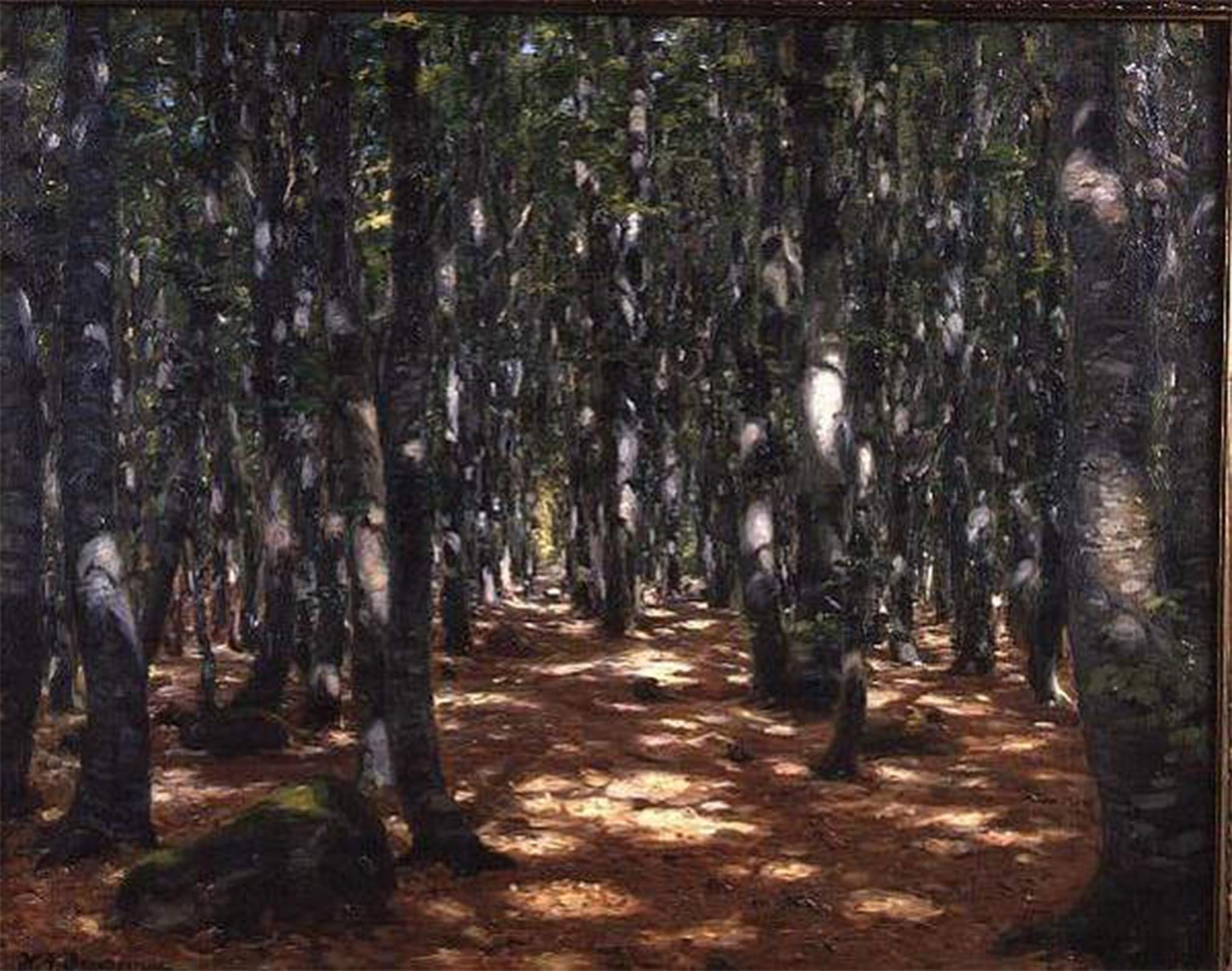 ARTXLXXBN Famous Print Painting Colorful Art Print Sunlit Forest by Hans Andersen Brendekilde Canvas Art Decorations for Home Decor 60x90cm