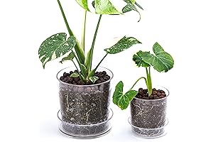 6.5 Inch Acrylic Plant Pots