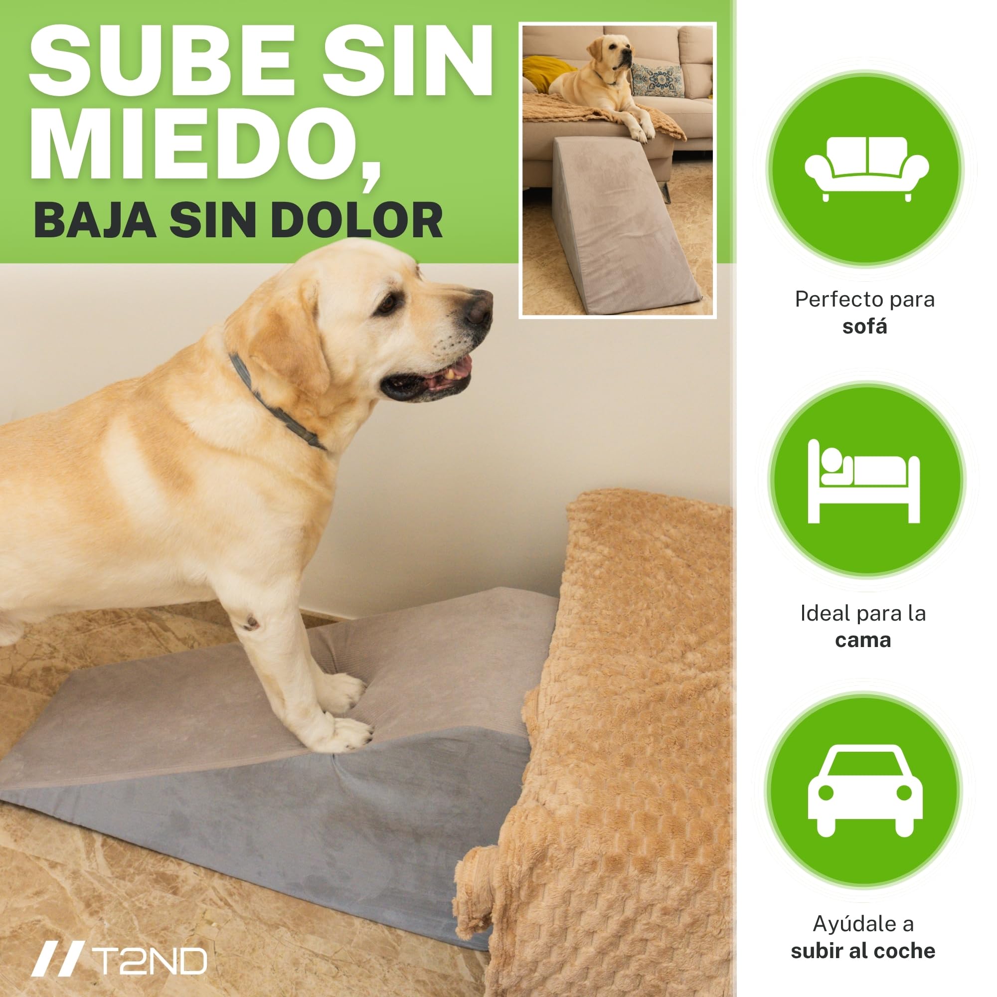 Rampa para Perros Sofá y Cama, Escalera para Perros Pequeños y Grandes, Escalera para Mascotas, Funda Extraíble y Lavable, Base Antideslizante, 40 cm de Alto