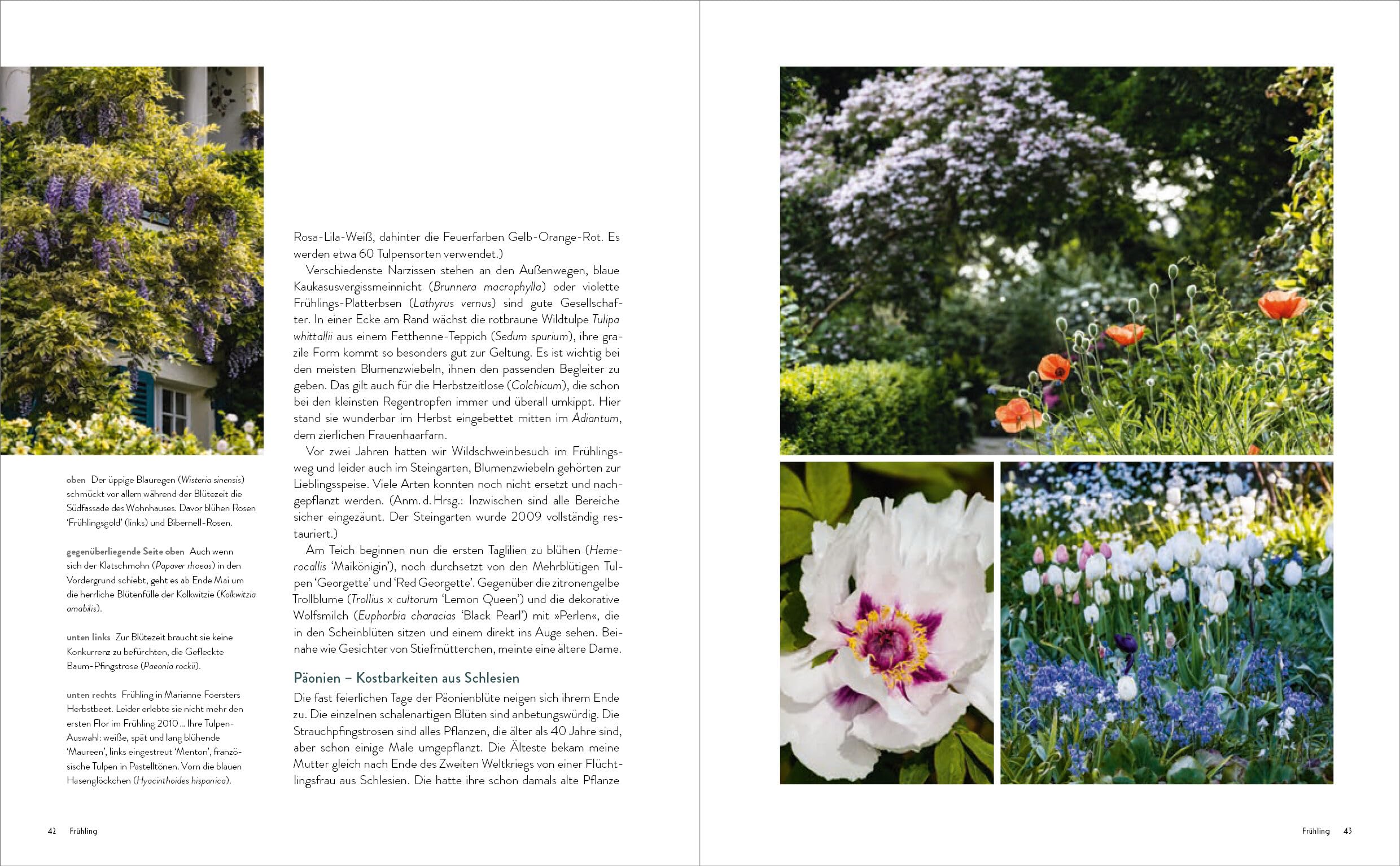 Der Garten meines Vaters Karl Foerster: Bornimer Gartentagebuch in sieben Jahreszeiten - Vollständig aktualisierte, erweiterte und neu fotografierte Ausgabe