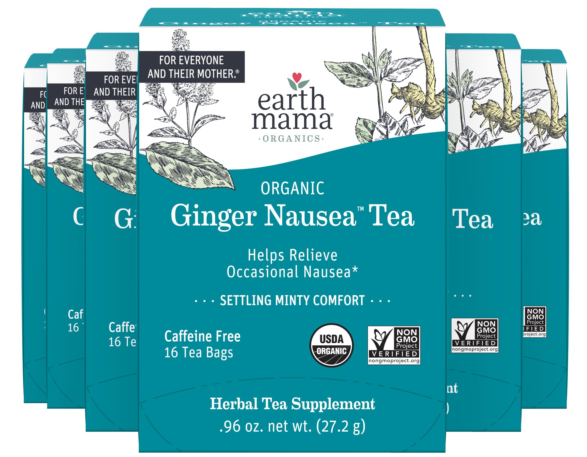 Earth Mama - Organic Ginger Nausea Tea - 16 Teabags (6-Pack)