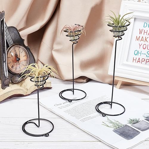 Miniatura 5 de AHANDMAKER Paquete de 6 soportes para plantas de aire, 3 tamaños, contenedor de plantas de aire, soporte Tillandsia para exhibir plantas de aire