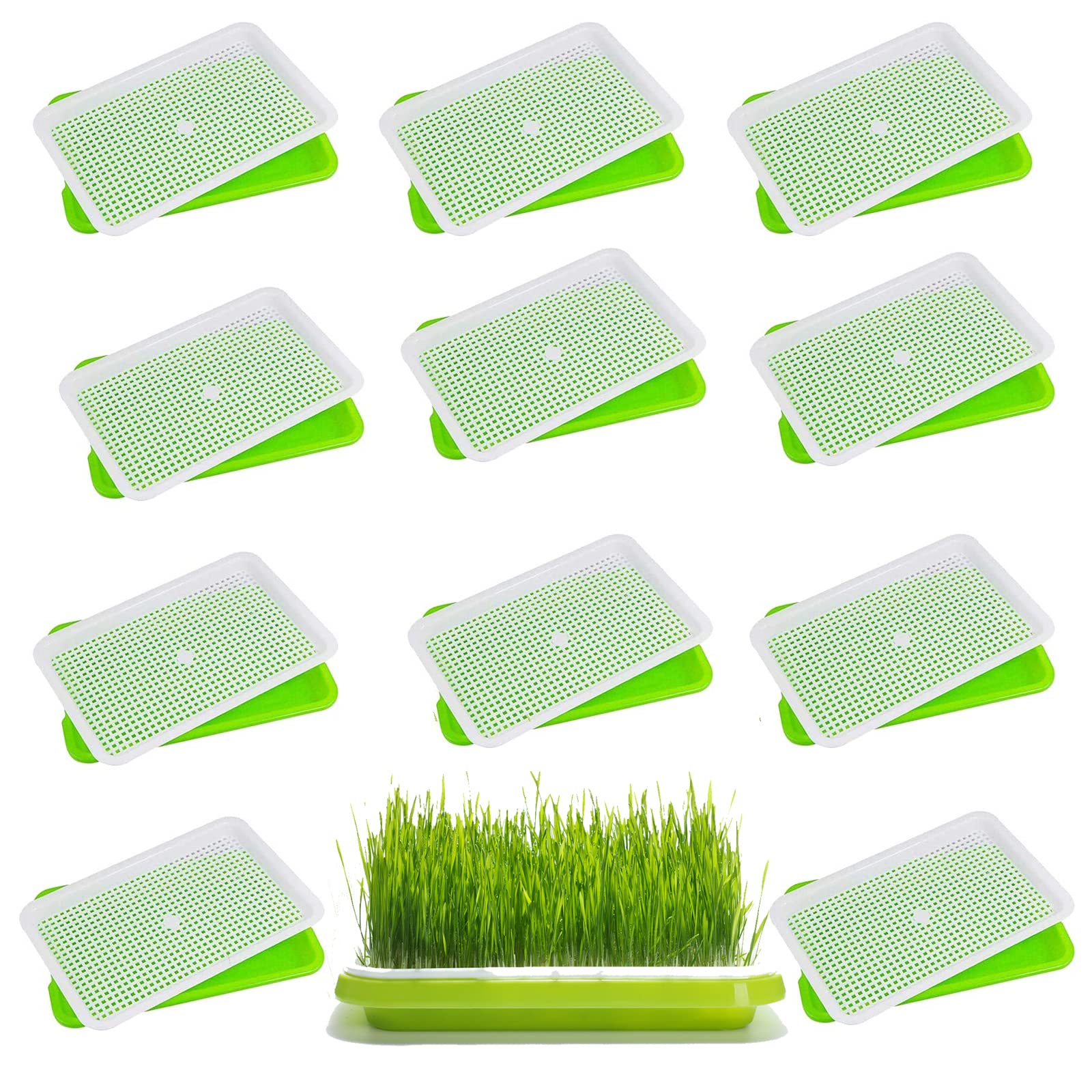 shells 20 Pcs Seed Sprouter Tray with Drain Holes Nursery Tray Seed Germination Propagation Trays Healthy Wheatgrass Microgreens Growing Trays Grower Storage Sprouting Tray for Home Office Gardening (B0BW59RDDY) Amazon Price History, Amazon Price Tracker