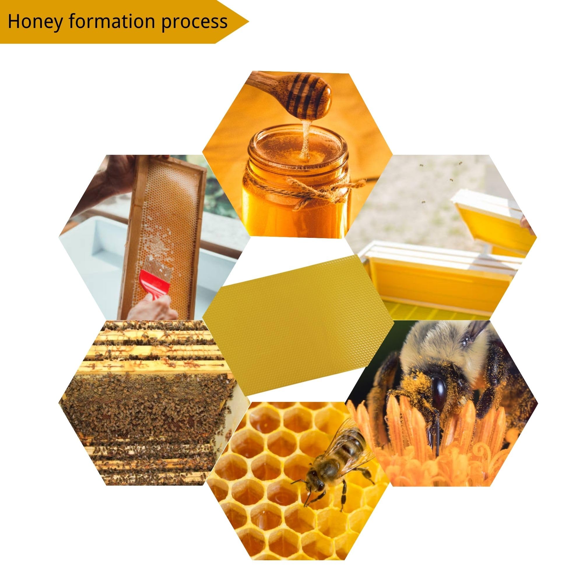 Rejopfad Beeswax Sheets – 100% Natural Bee Honey Sheets, 30 Pack For Food Wrapping, Crafts, Sealing & Skin Care - View #7