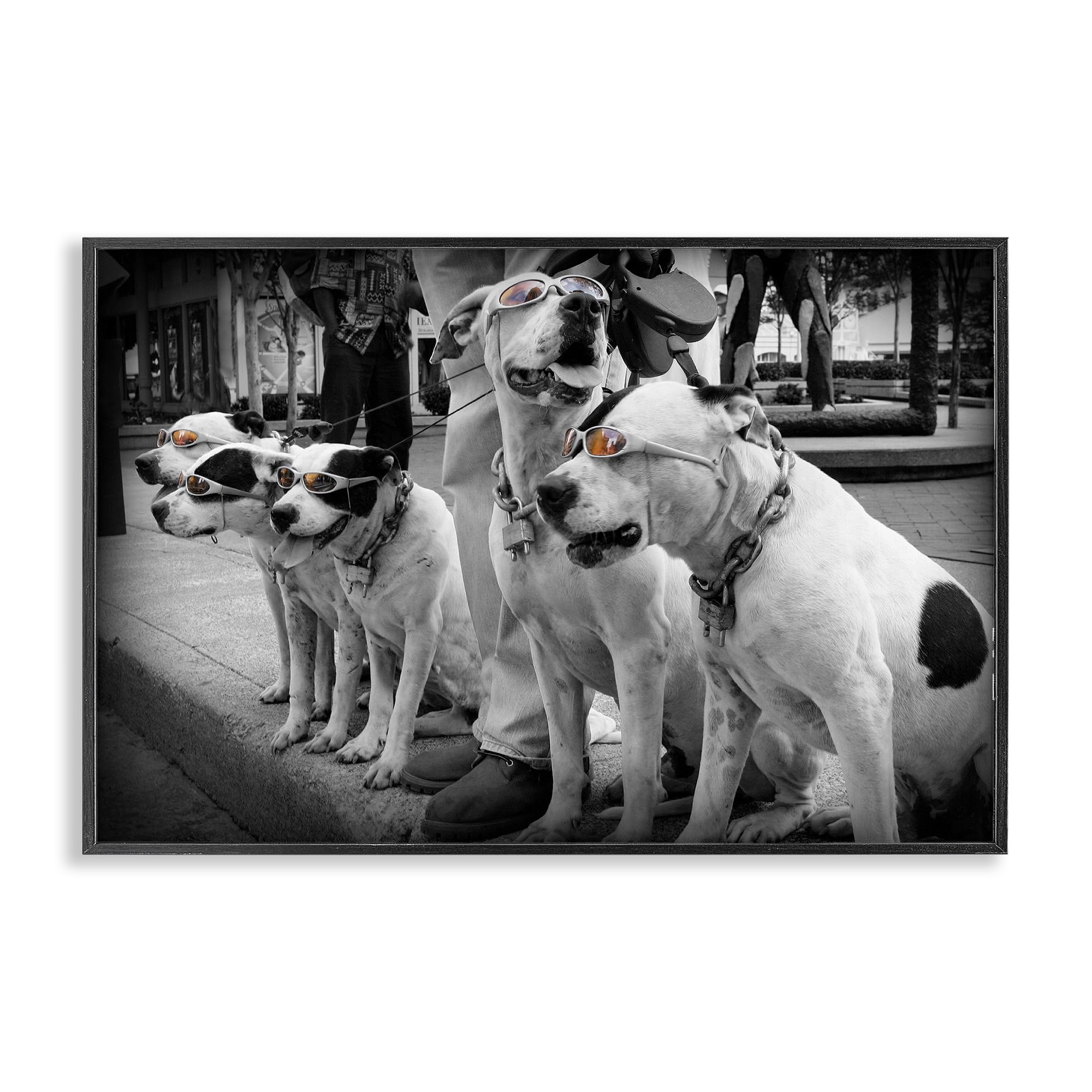 Stupell Industries Midnight Black (Textured) Afternoon Stroll Pups Street Style, 16 X 24 Inch Framed Giclée Print