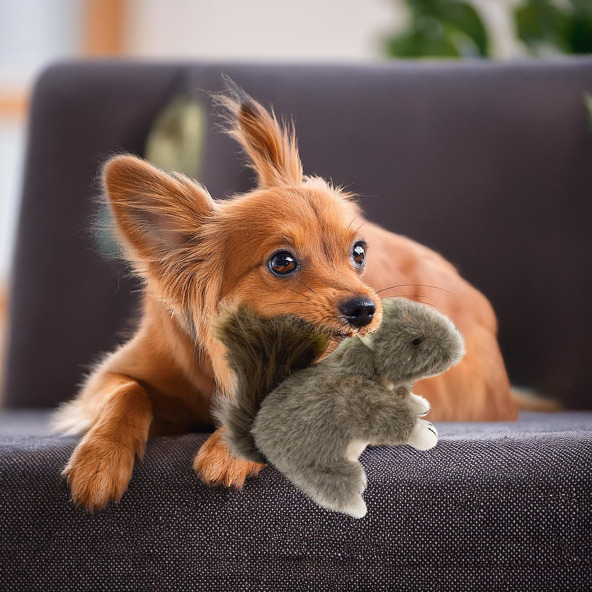 Eichhörnchen-Hundespielzeug, quietschendes Eichhörnchen, Plüsch-Eichhörnchen, Hundespielzeug, gefülltes quietschendes Kauspielzeug, realistisches Tier-Hundespielzeug, interaktives