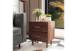 Mid-Century Modern 24 Inch Nightstand with Storage