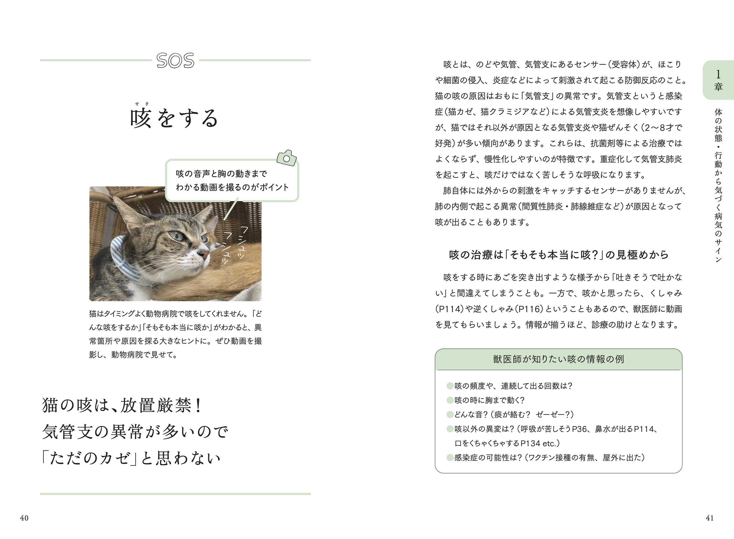 Amazon.co.jp: 服部 幸: 本、バイオグラフィー、最新アップデート