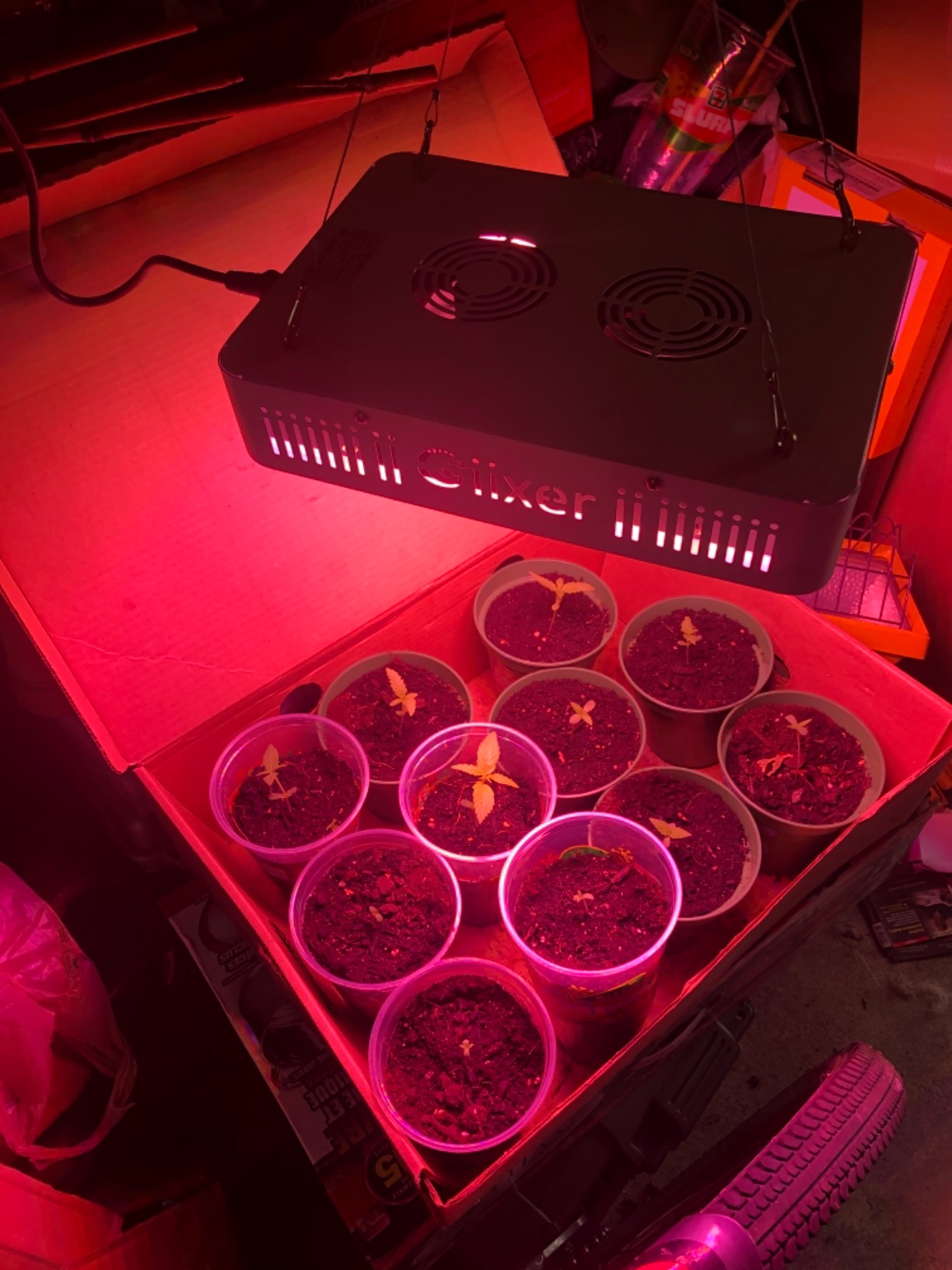 Giixer 1000W LED Grow Light, Dual Switch & Dual Chips Full Spectrum ...
