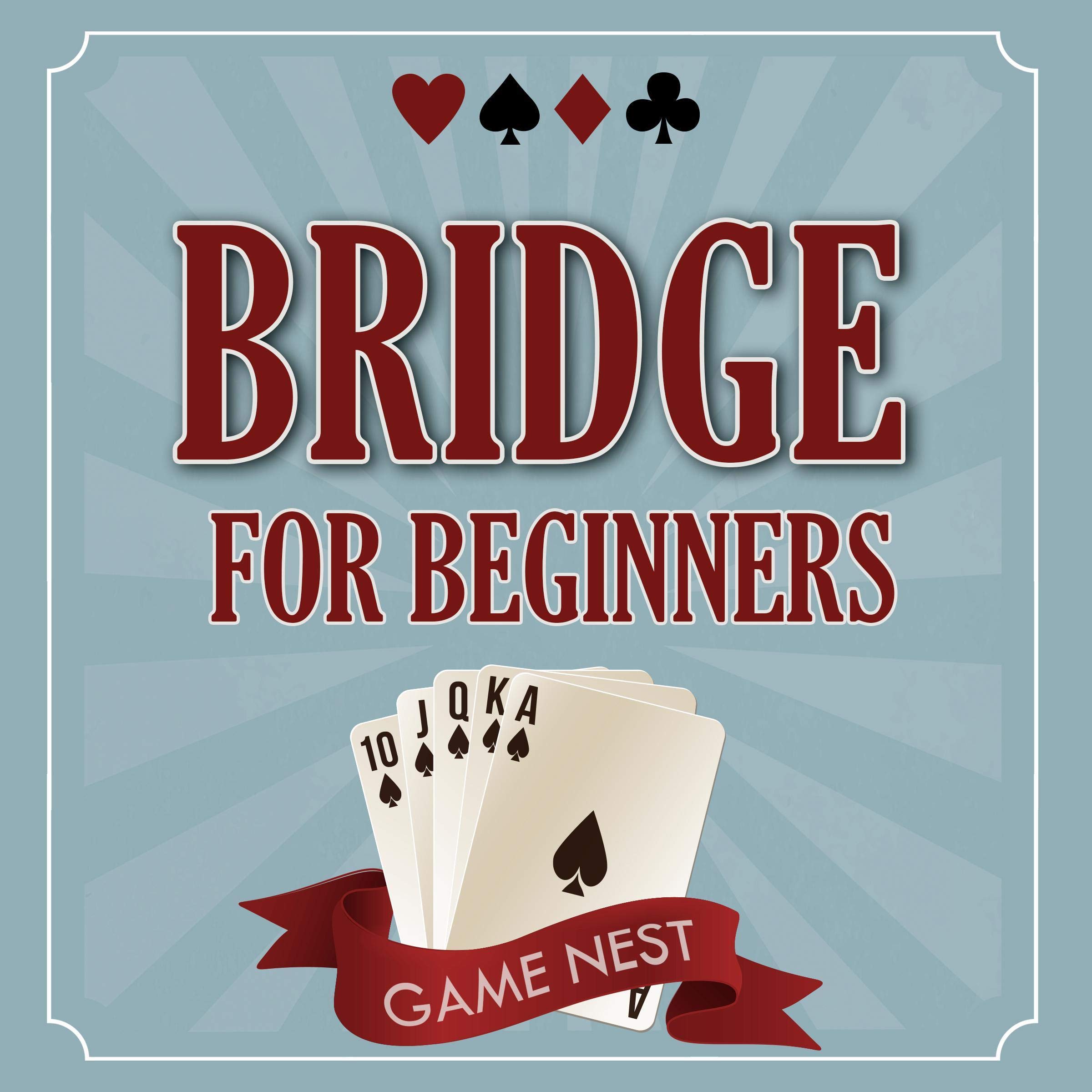 Cover art for Bridge for Beginners
