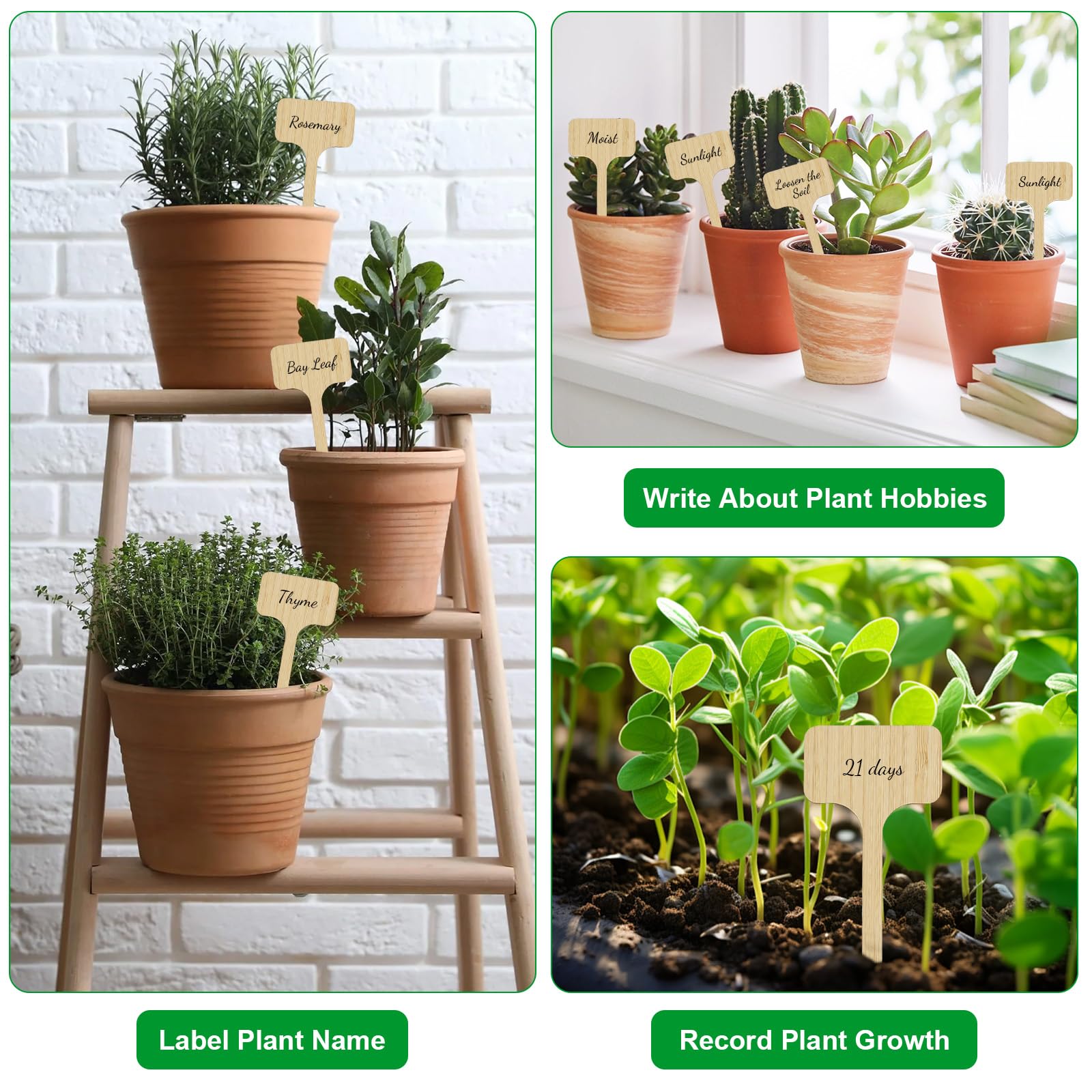 Cartel para plantas de madera con rotulador para plantas, de bambú, extralargo, en forma de T, para verduras, hierbas, flores, (altura: 18 cm x ancho: 6 cm)