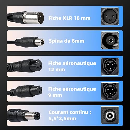 Chargeur Trottinette Électrique 42V 2A Universel (5 Connecteurs) – Alimentation pour Batterie Lithium 36V – Compatible avec Xiaomi, Ninebot Segway, Wispeed, Hoverboard et Vélo Électrique - 4