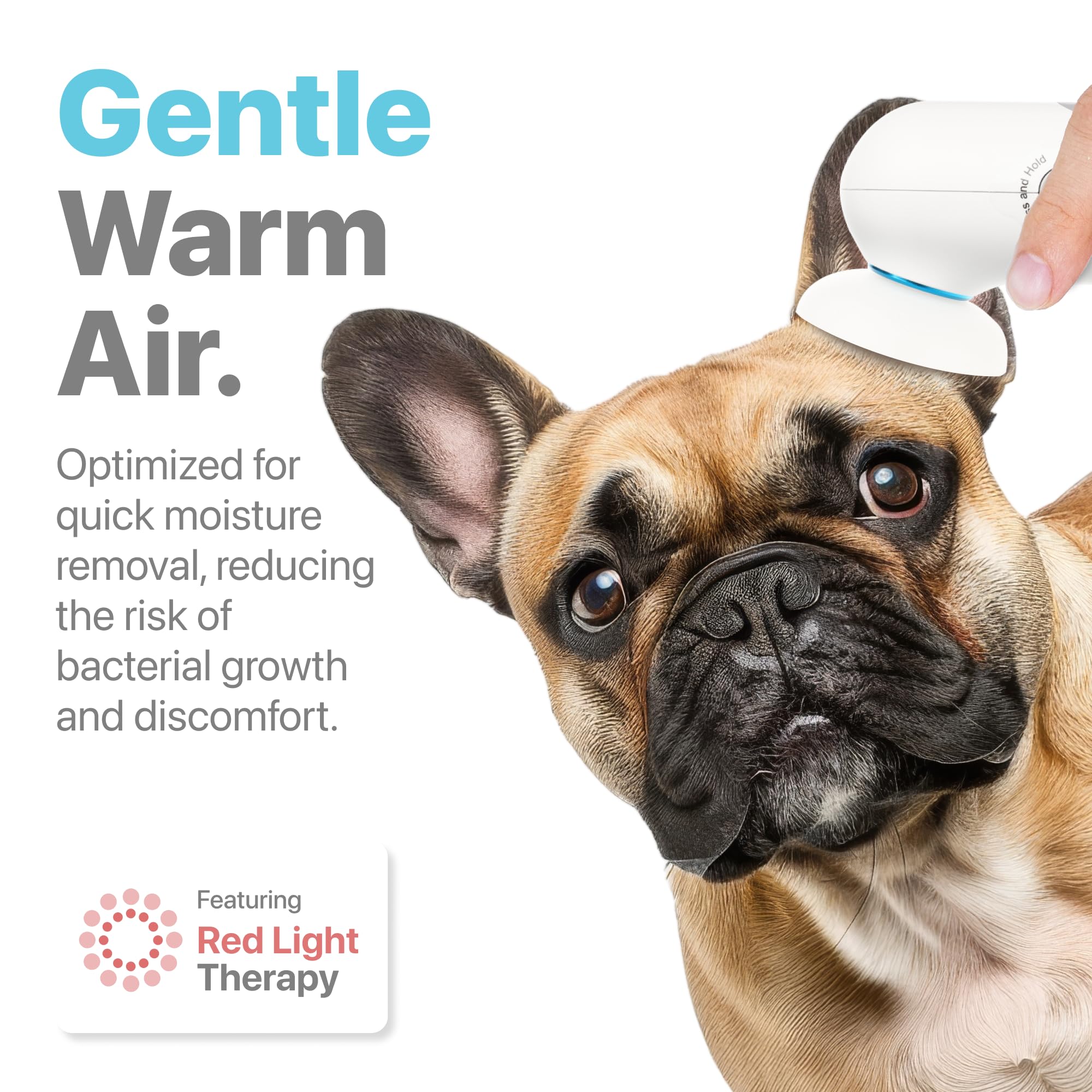 Whisper Pet Ear Pieces Ear Dryer | Remove Water, Dog Ear Infection Treatment, Dog Ear Cleaner, Alternative to Dog Ear Wipes | Dog Yeast Infection Treatment for Dogs | Zymox Ear Solution for Dogs - image 2