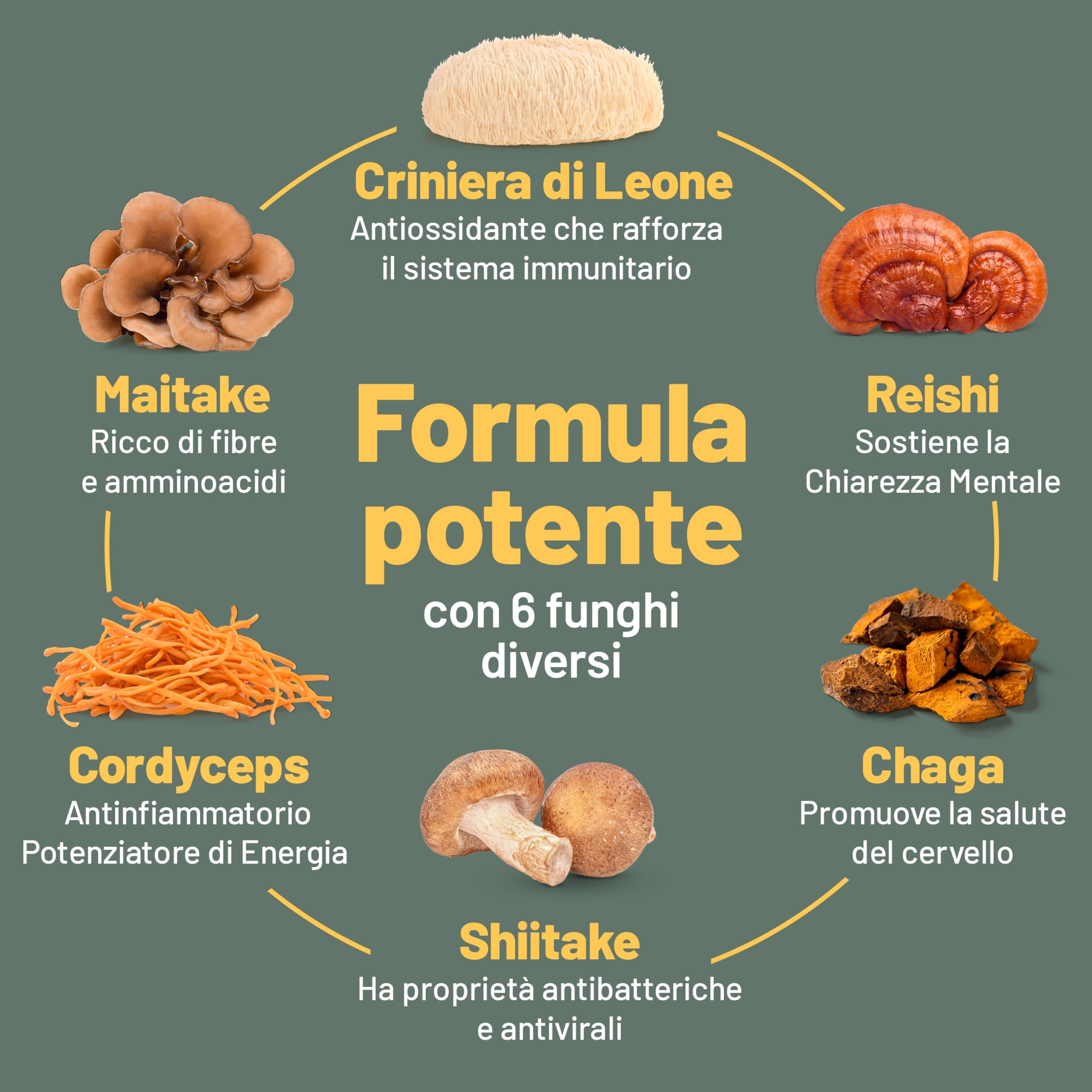 Vegan Vitality Integratore di 6 Funghi: Reishi, Lions Mane, Cordyceps, Chaga, Shiitake e Maitake - 120 Capsule da 500mg – Formula Concentrata