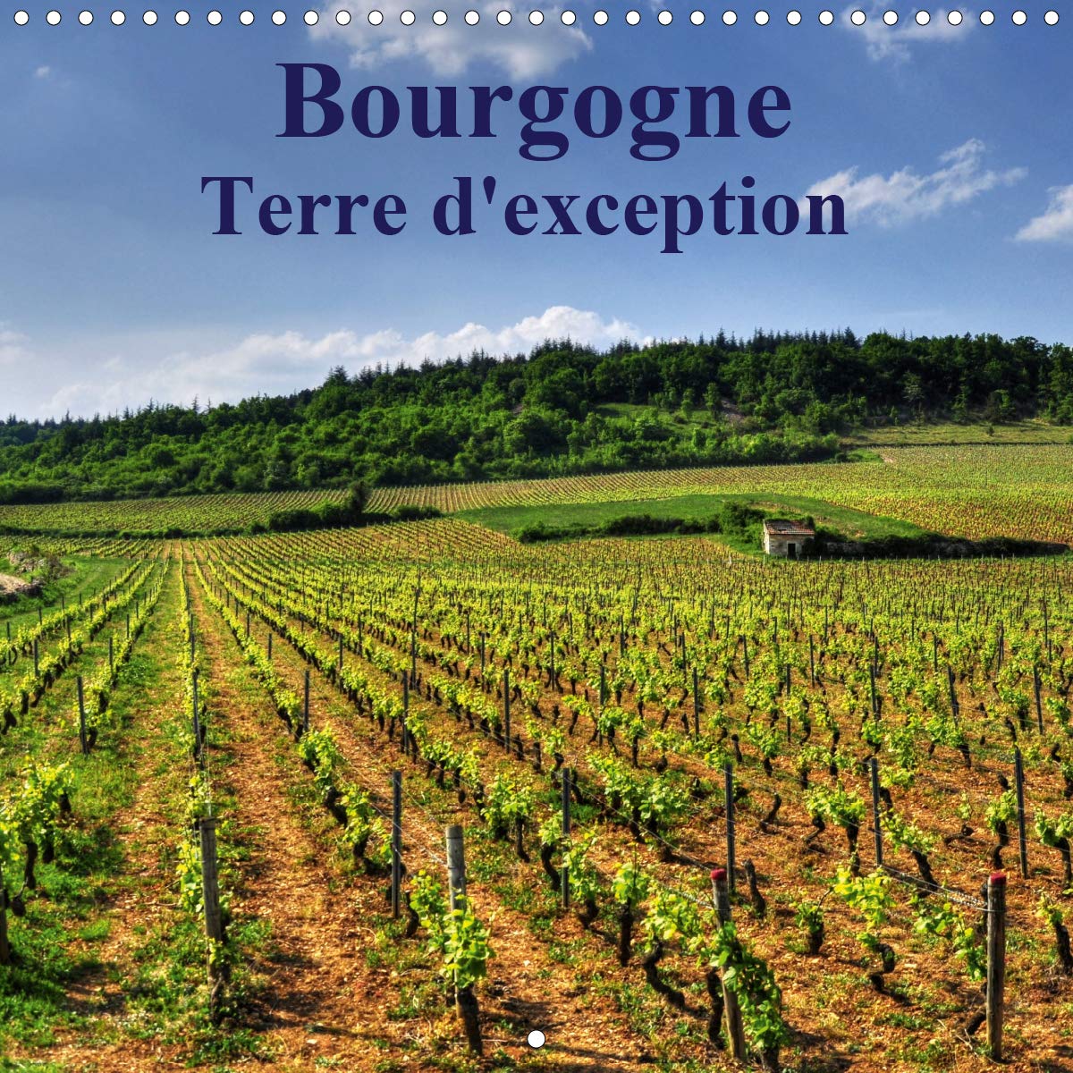 Calendrier Bourgogne Terre d'exception 2020 mensuel mural vignobles réputés