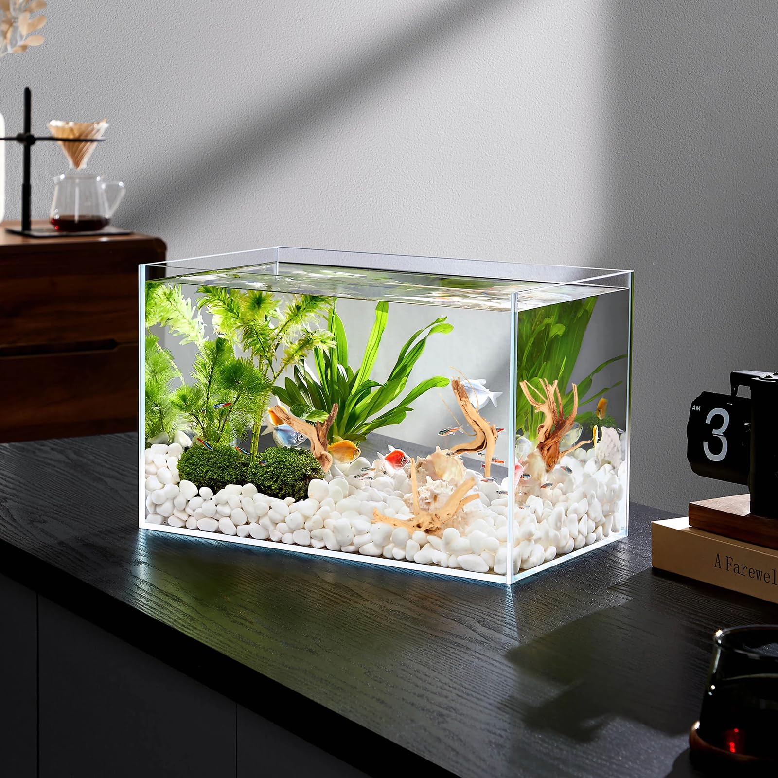 4 pezzi radice di muschio, acquario, radice di acquario, legno naturale, decorazione per legni da 10 a 15 cm, forma casuale, piccolo ornamento per aquascaping rettili, decorazione per interni