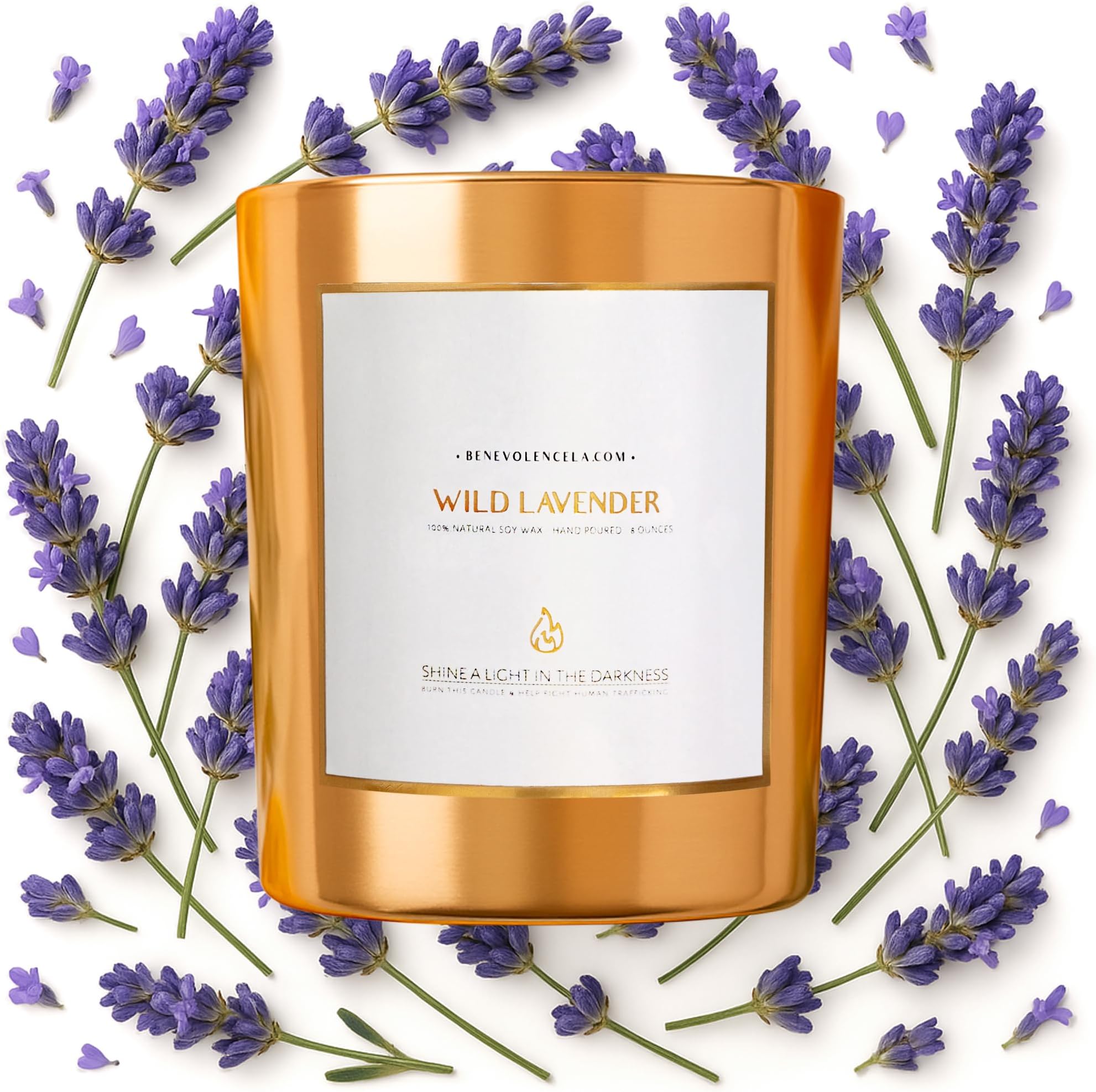 Benevolence LA Wild Lavender Candle | Highly Scented Aromatherapy Candle | 8 oz 45 Hour Burn, Gold Glass Jar