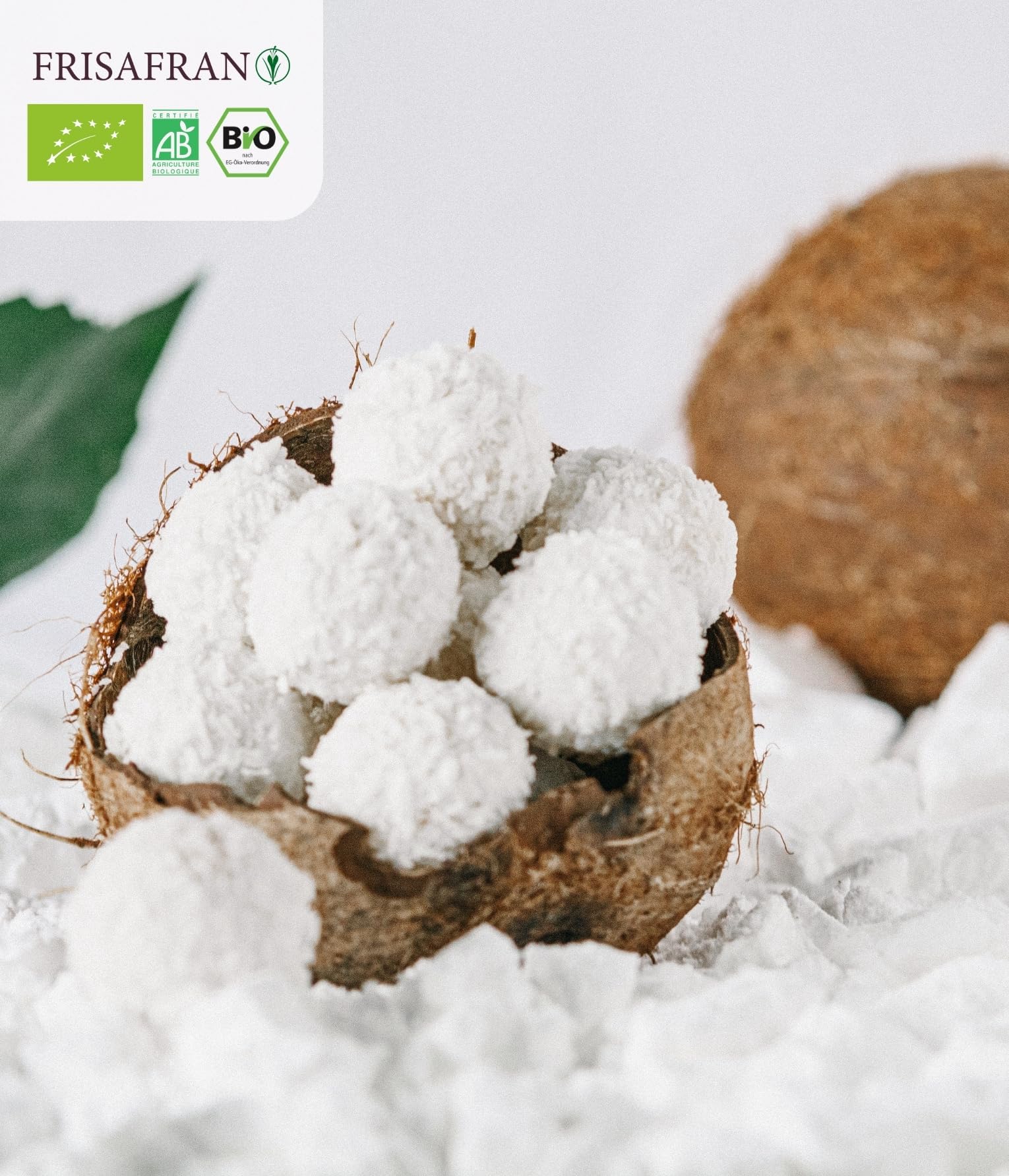 Leche de coco orgánica en polvo 100g Bio sin azúcar sin gluten vegana
