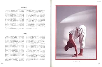 ヨーガ療法の基礎としての意識化体験 ヨーガ療法の基礎としての意識