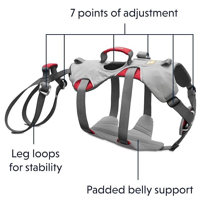 Foto 4 de 8 de Ruffwear - Double Back Harness