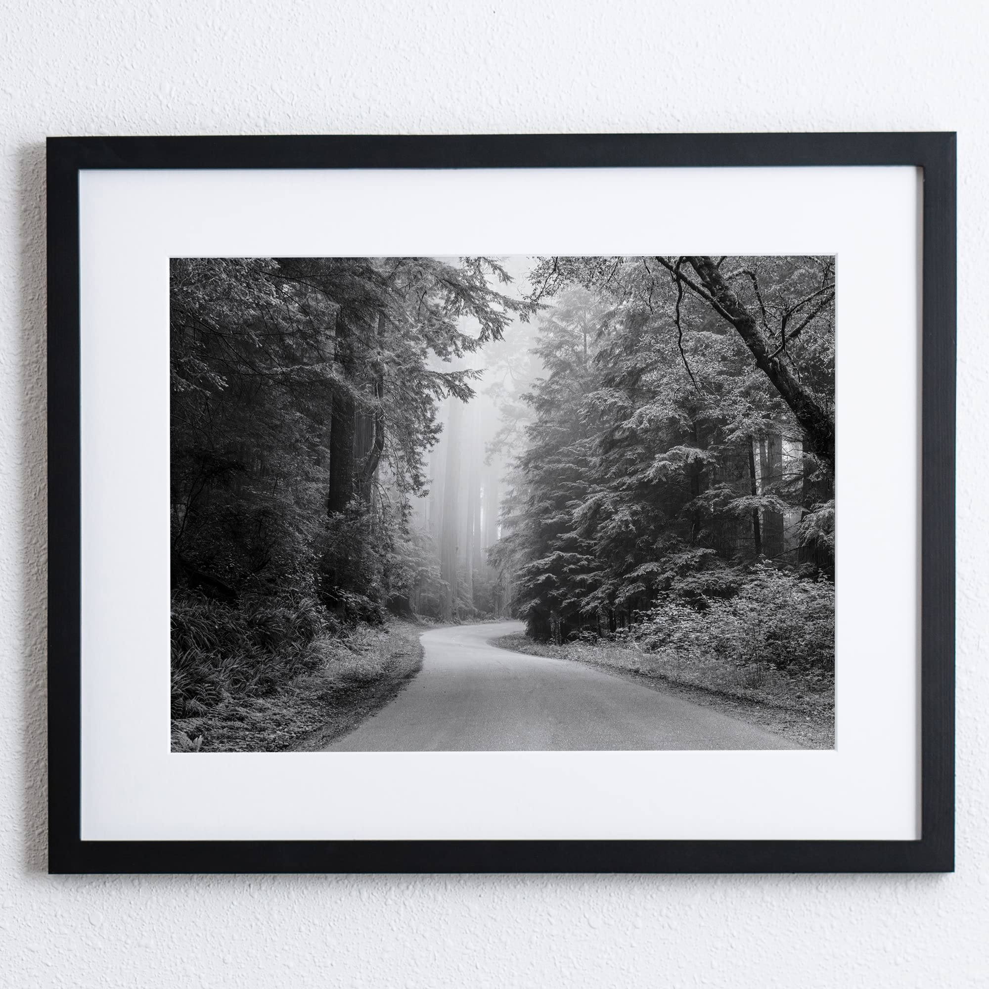 Forest Road Black and White Photography Art Print with Solid Wood Frame, Archival Quality Print, Crescent Brand Mat (Forest Road, 16 x 20" Black Wood)